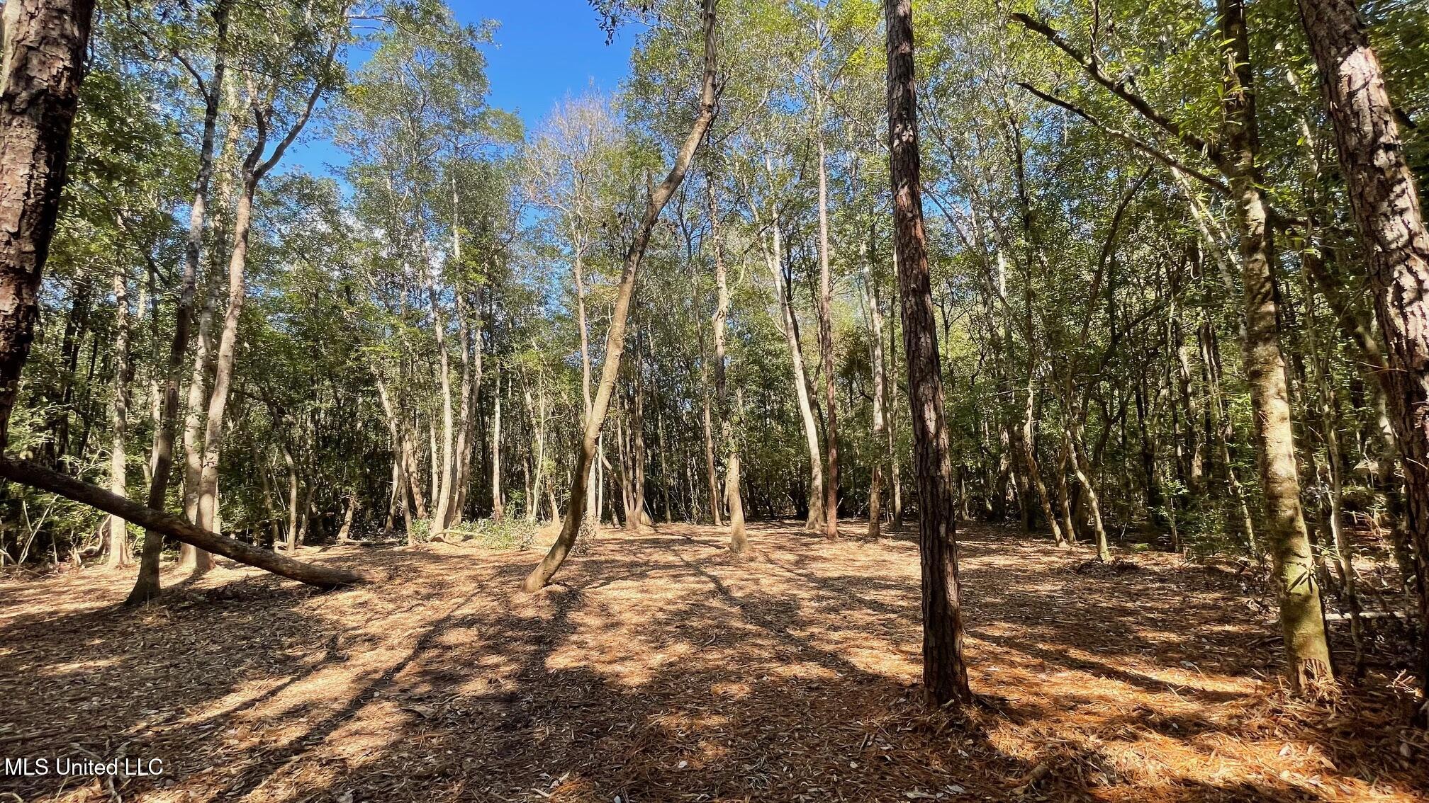 Old Hwy 49 Property Photo 2