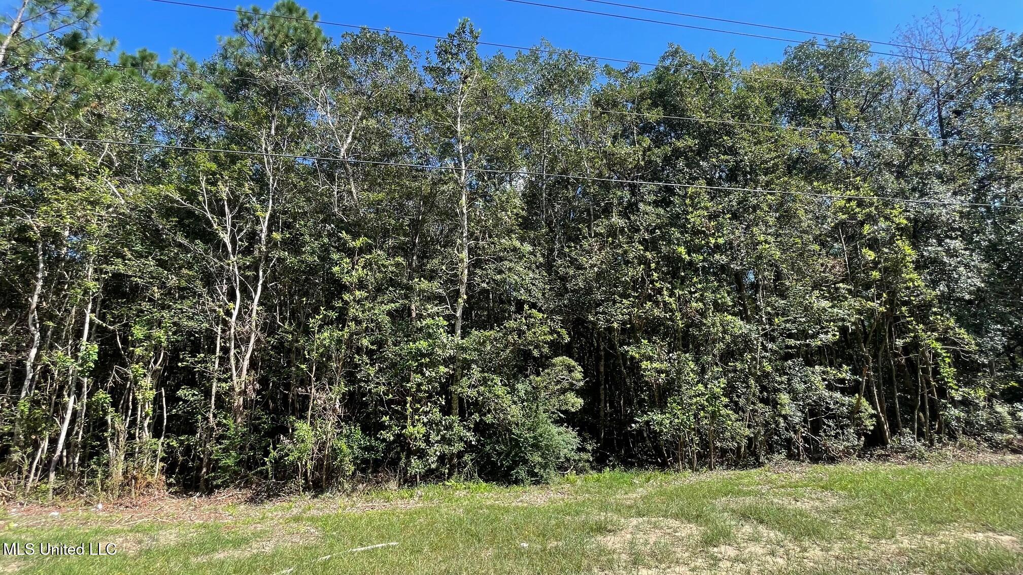 Old Hwy 49 Property Photo 4