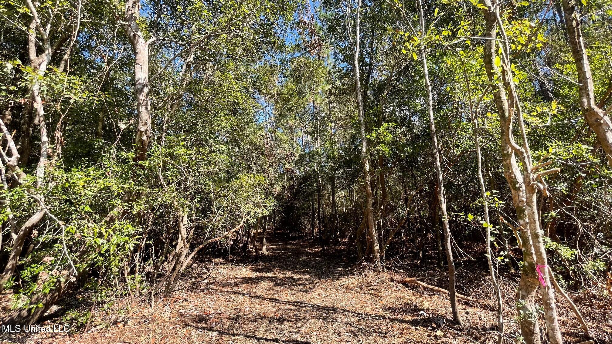 Old Hwy 49 Property Photo 5