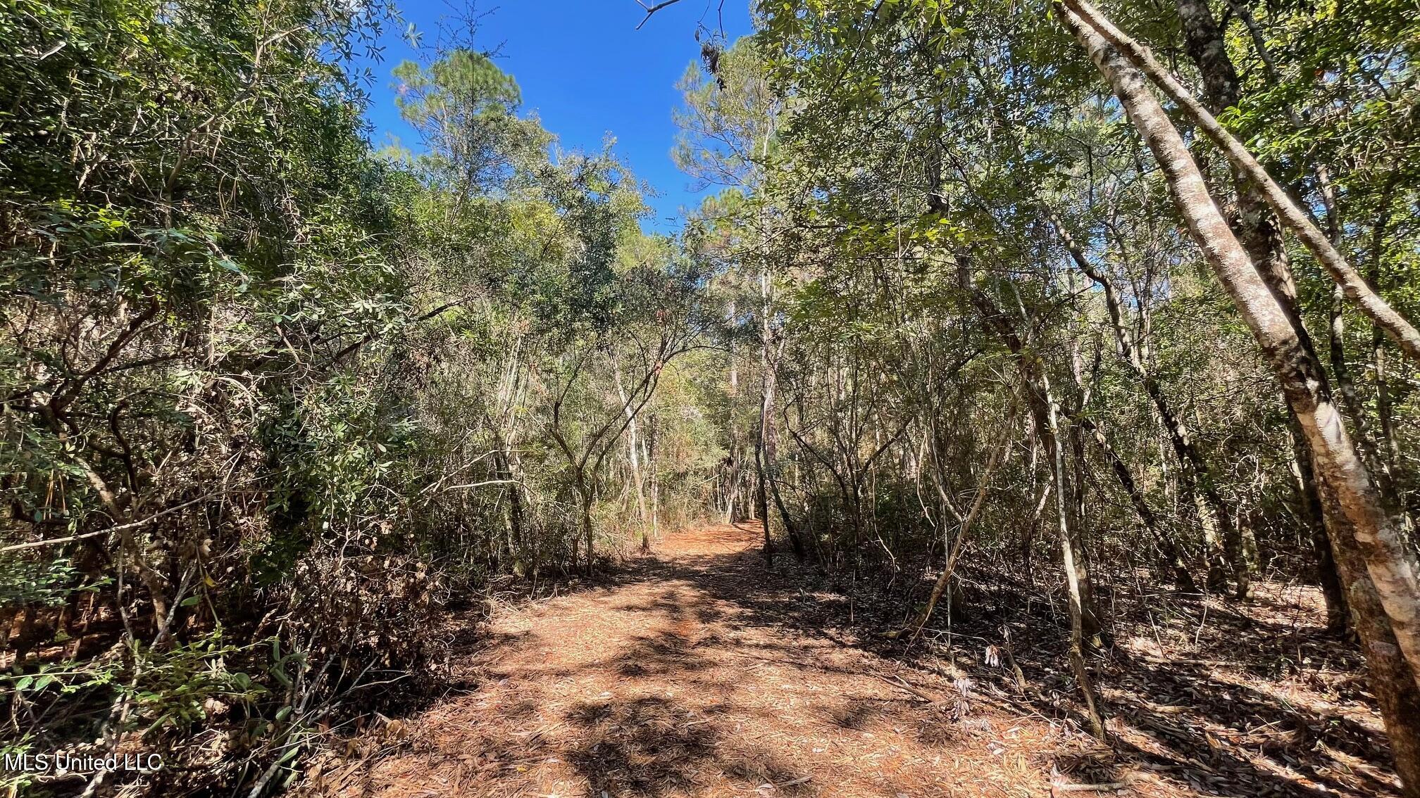 Old Hwy 49 Property Photo 6