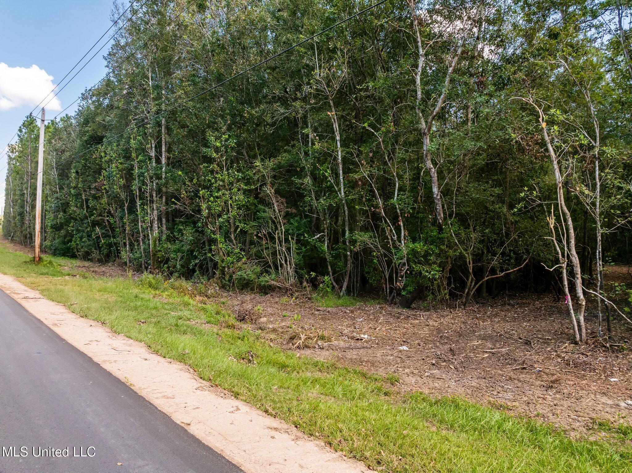 Old Hwy 49 Property Photo 7