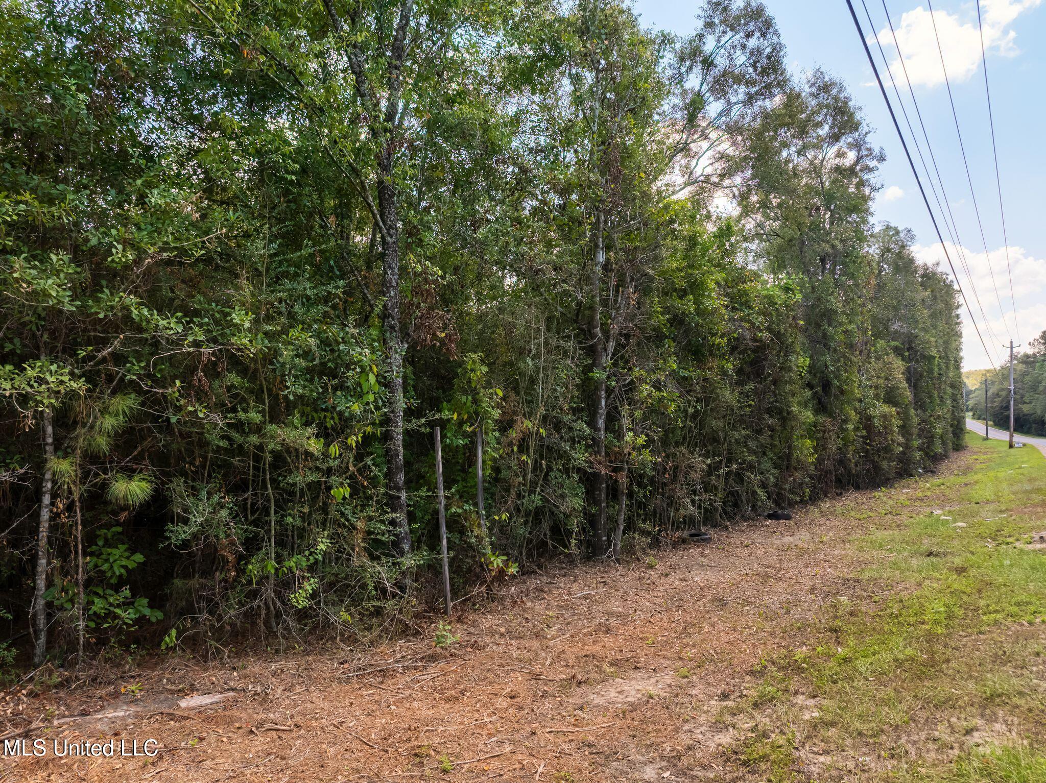 Old Hwy 49 Property Photo 8