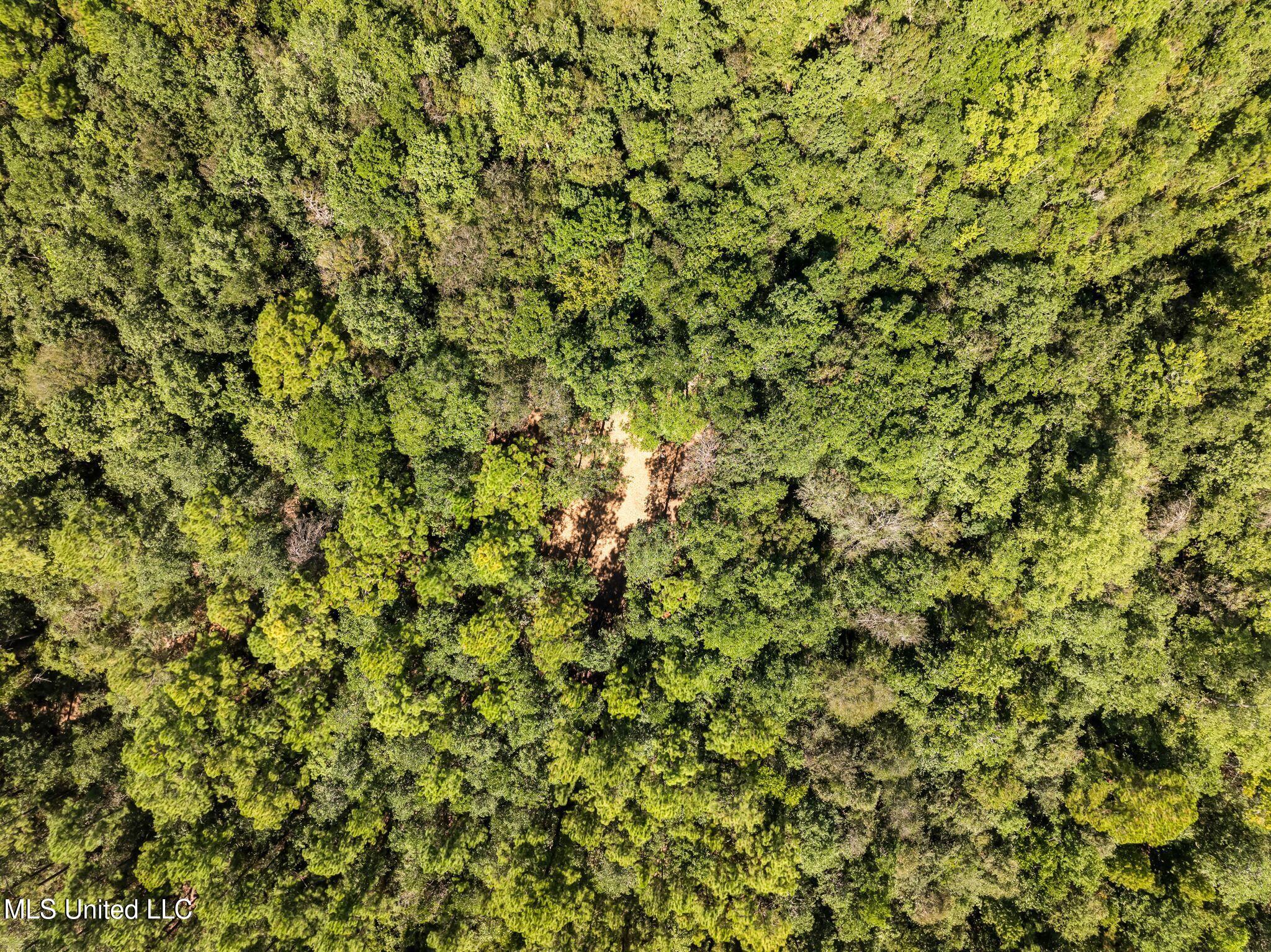 Old Hwy 49 Property Photo 9