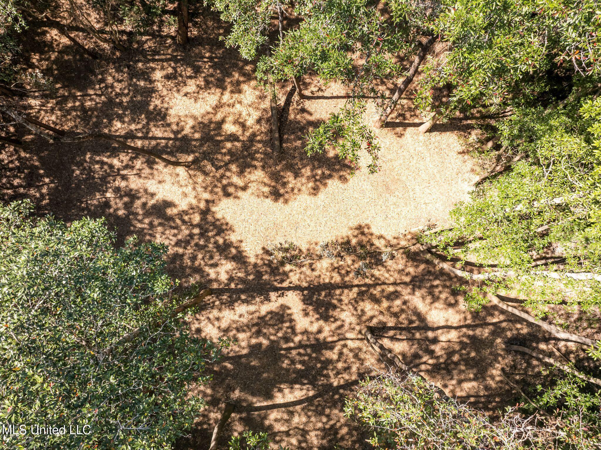 Old Hwy 49 Property Photo 10