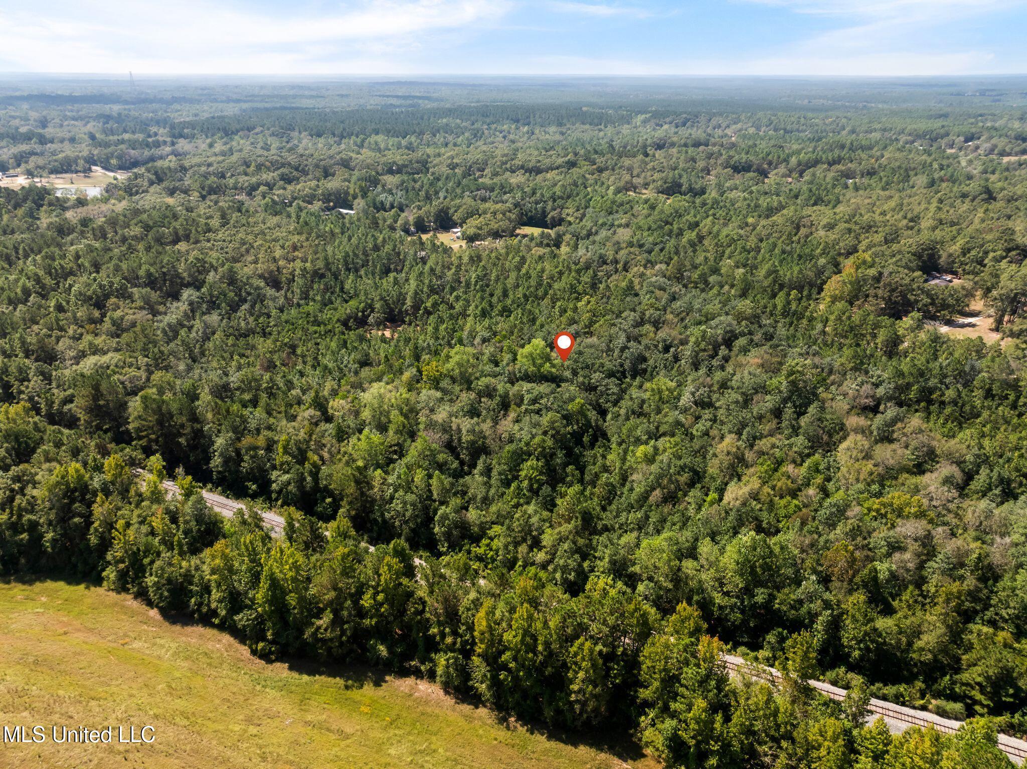 Old Hwy 49 Property Photo 16