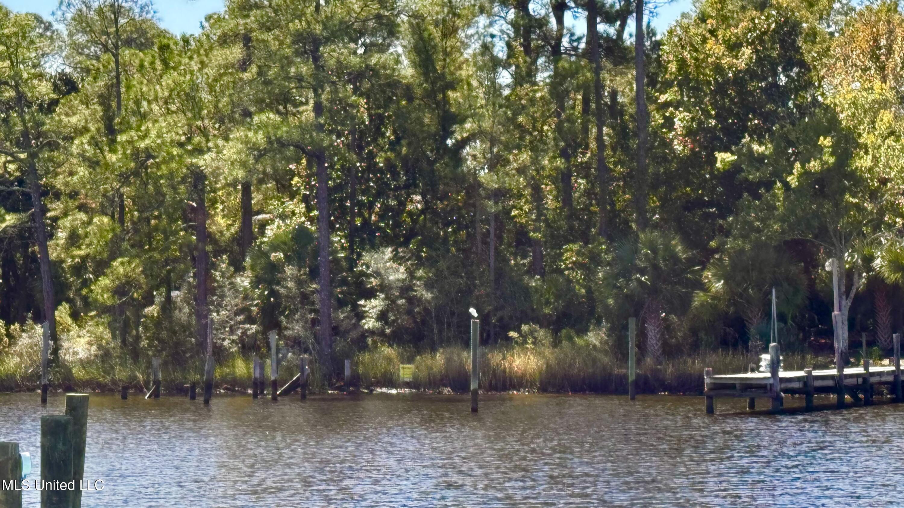 0 W West Simmons Circle Property Photo 3