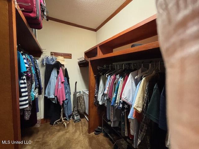 220 N Hwy 27 N Property Photo 25