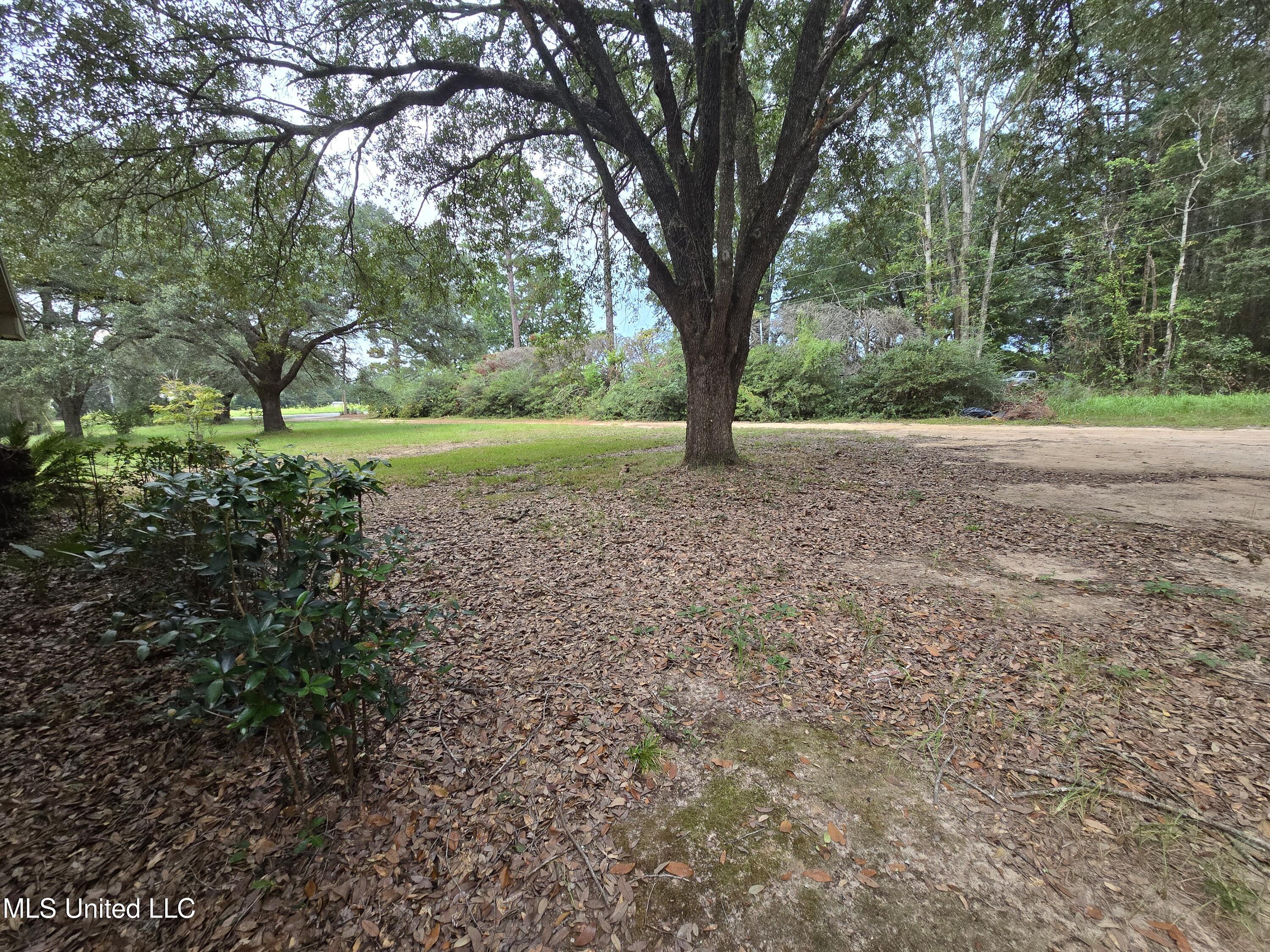 8105 Highway 613 Property Photo 5