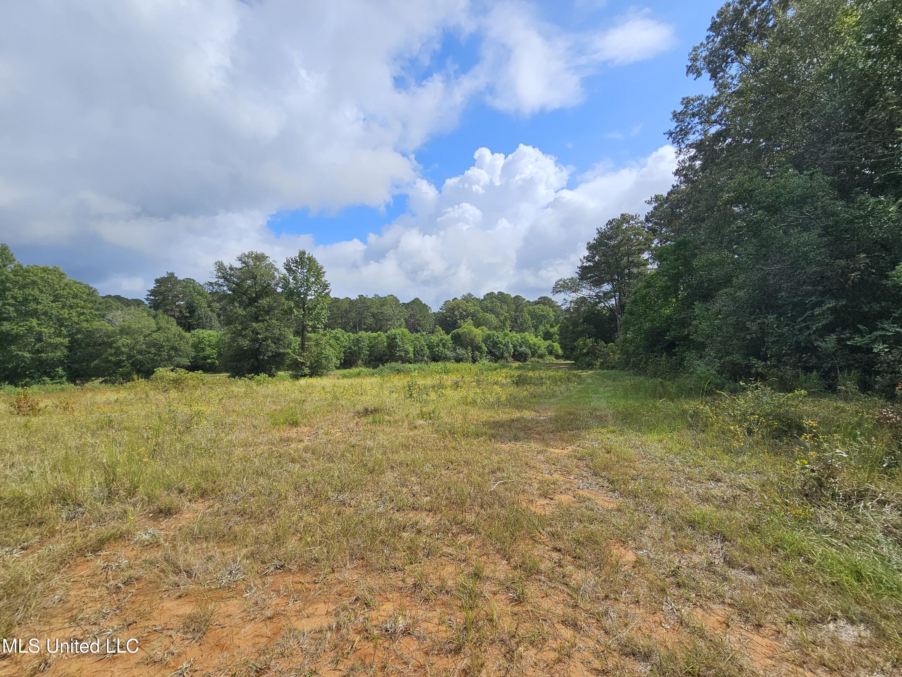 923 Jeffery Drive Property Photo 3