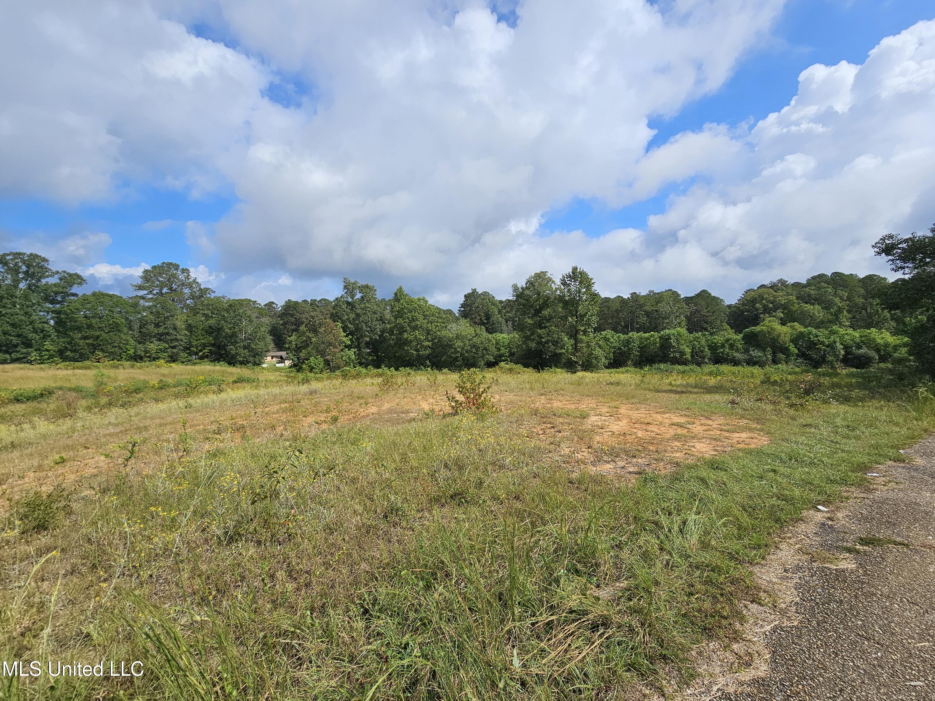 923 Jeffery Drive Property Photo 2