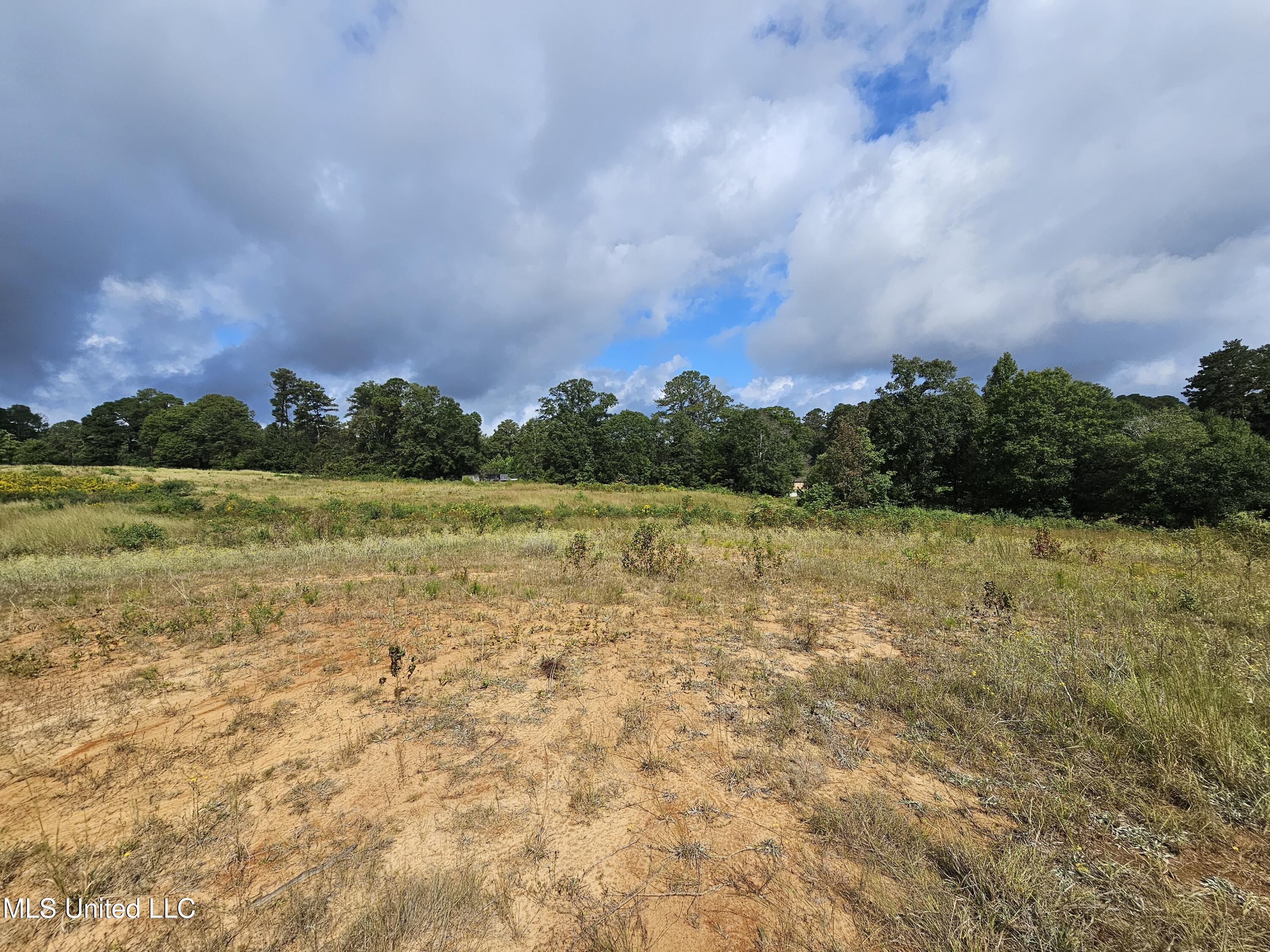 923 Jeffery Drive Property Photo 4