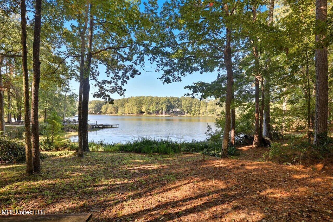 345 Lakeway Drive Property Photo 3