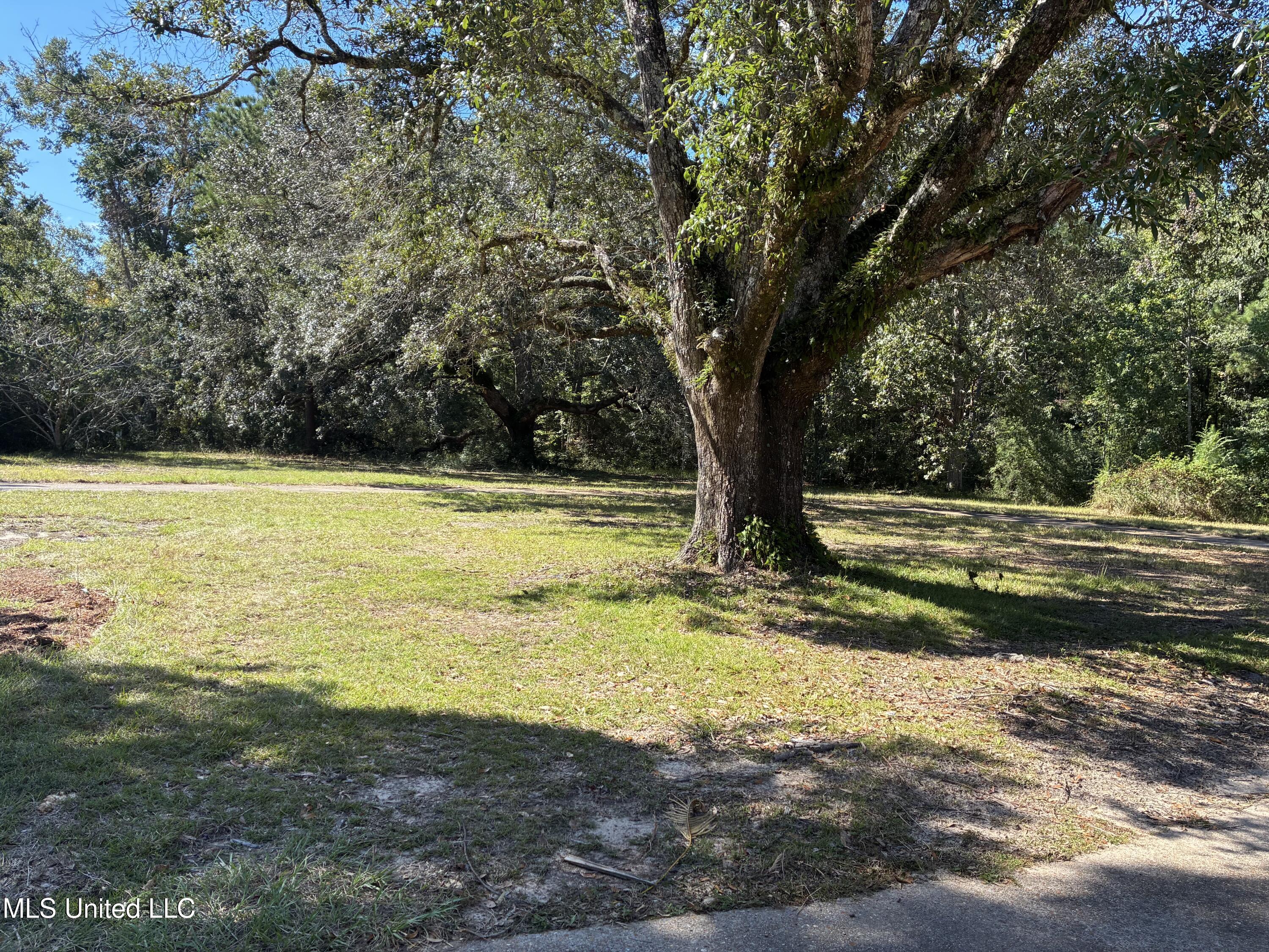 1008 Roys Road Property Photo 3