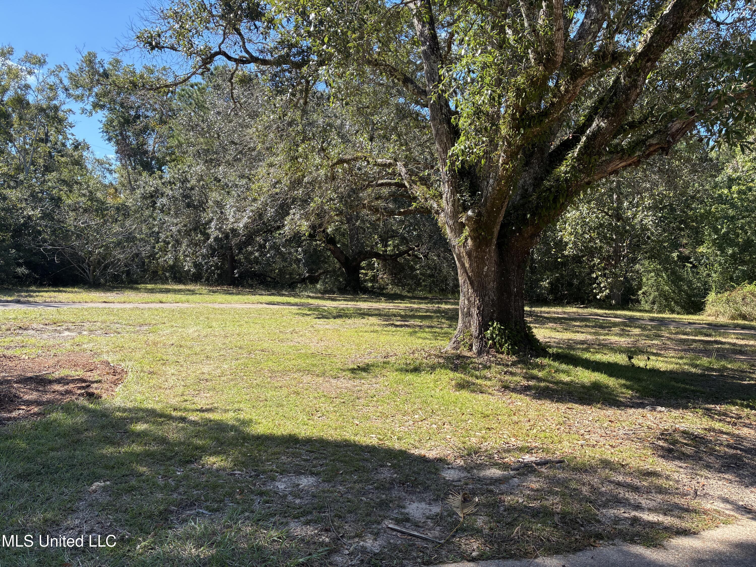 1008 Roys Road Property Photo 4