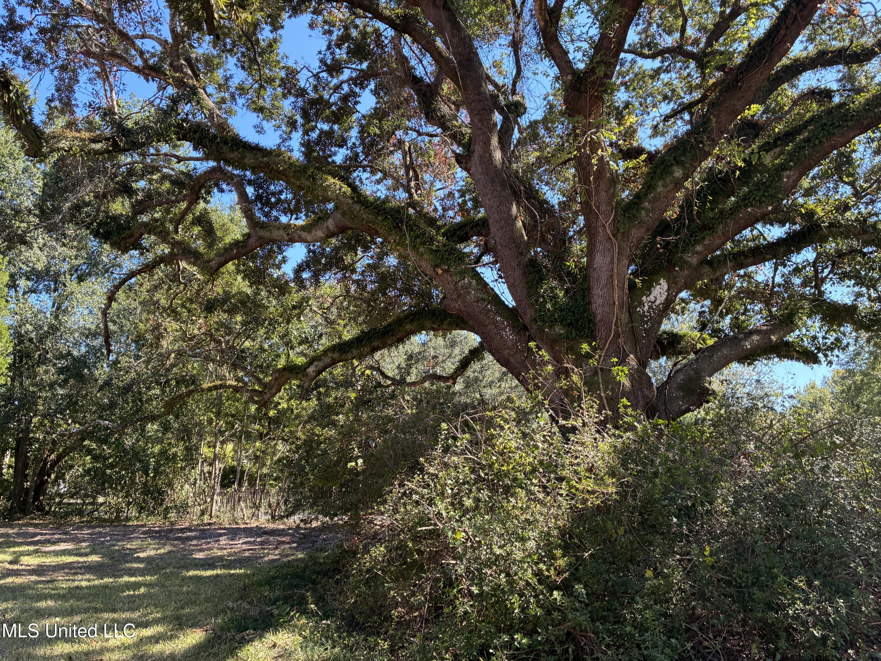 1008 Roys Road Property Photo 7