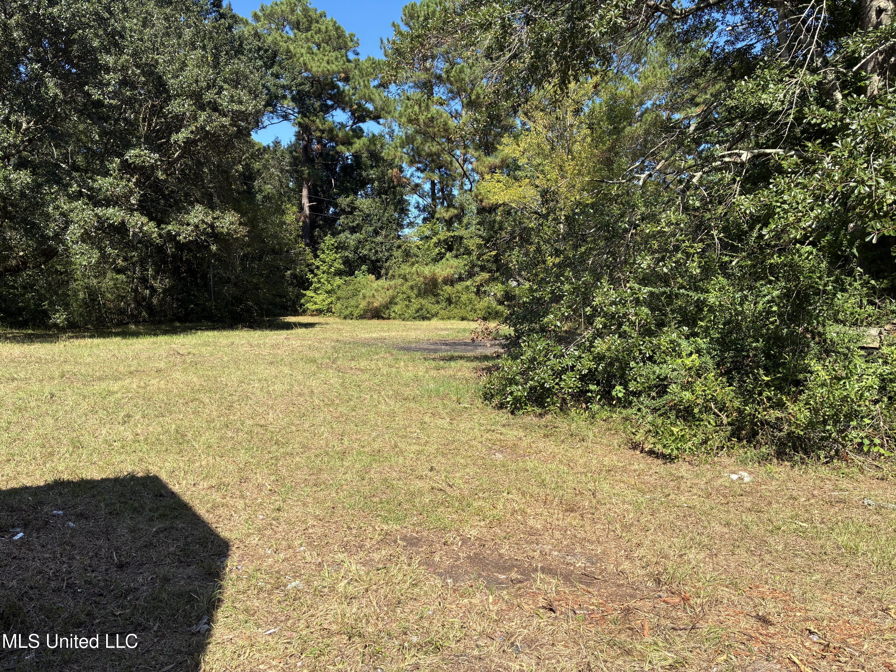 1008 Roys Road Property Photo 25