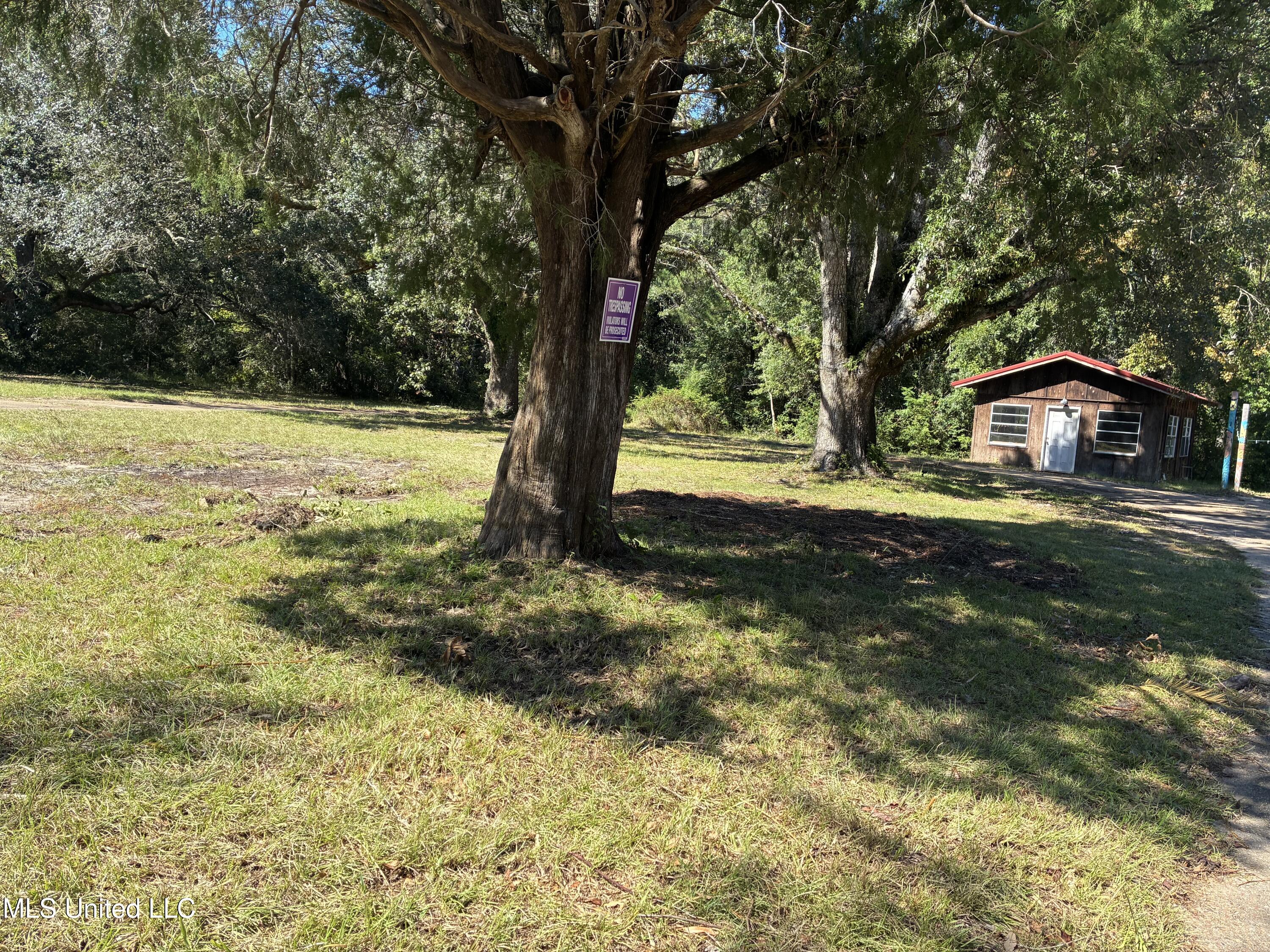 1008 Roys Road Property Photo 60