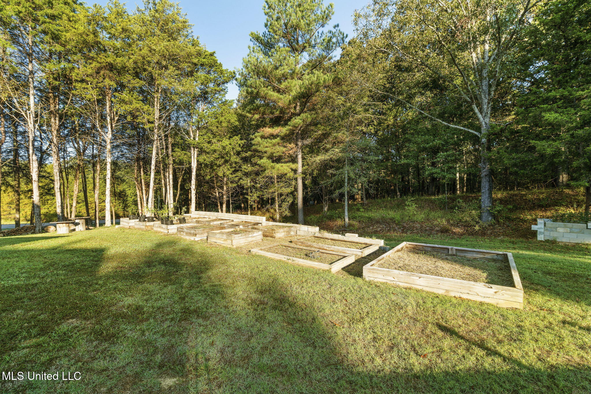 1088 S Red Banks Road Property Photo 46
