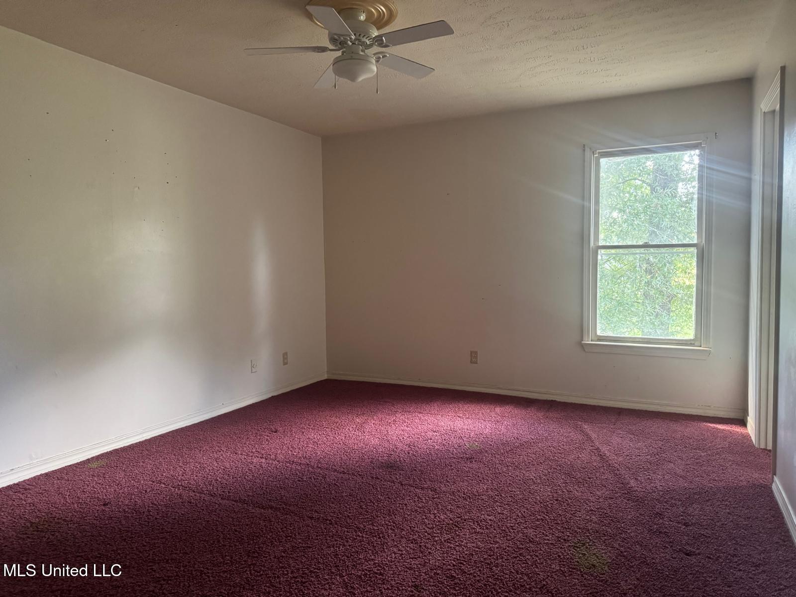 191 Ted Circle Property Photo 7