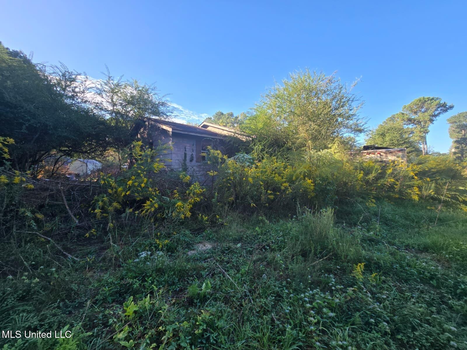 30 Emmanuel Peyton Lane Property Photo 2