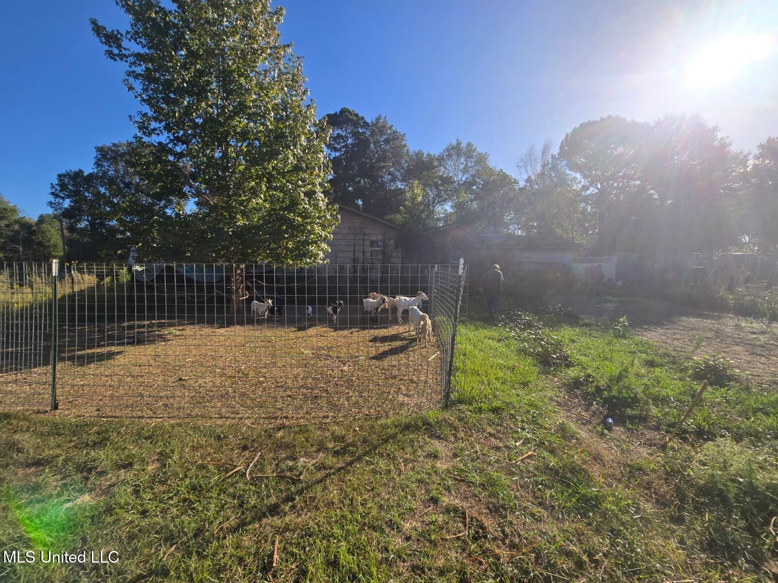 30 Emmanuel Peyton Lane Property Photo 3