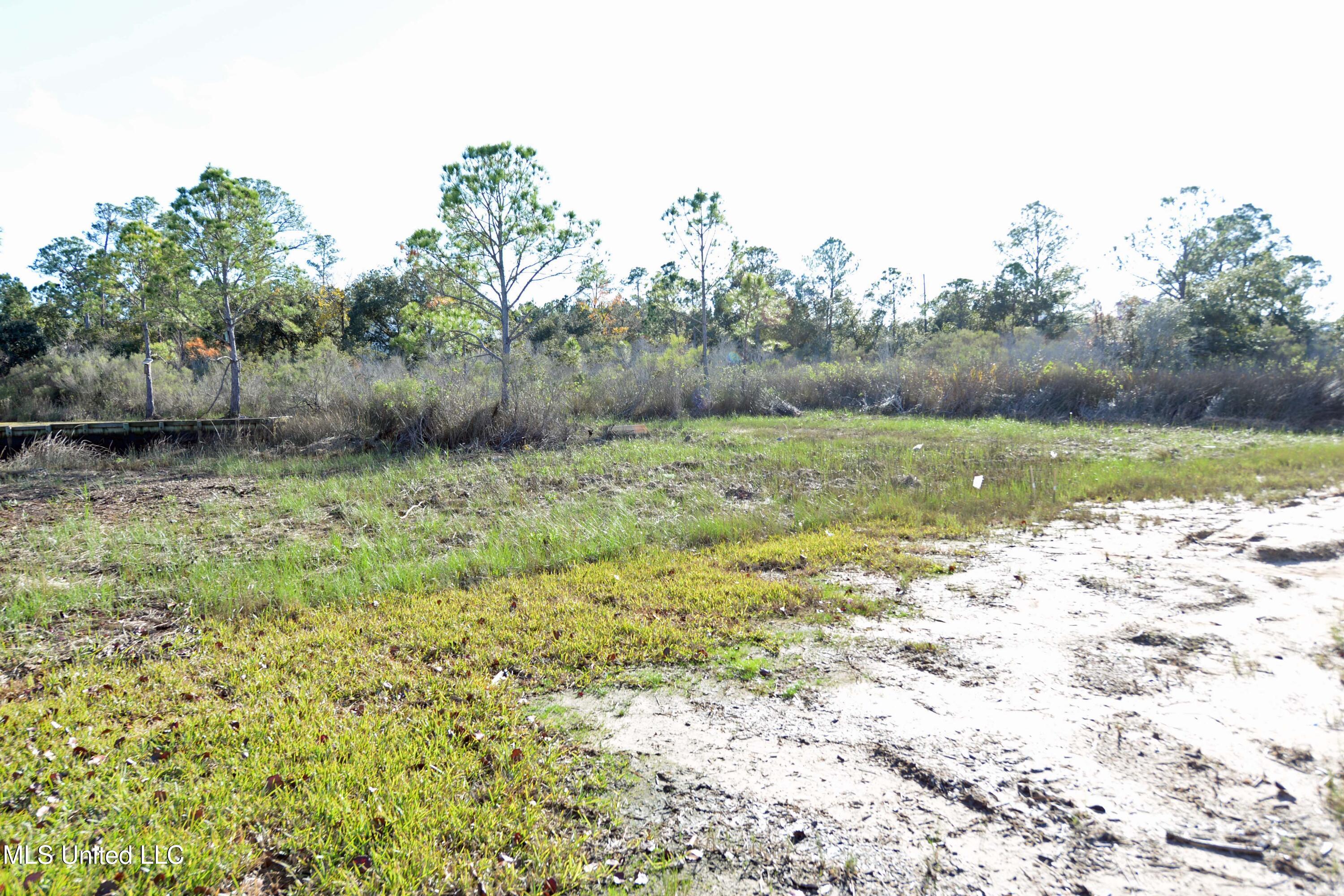 Sweet Bay Drive Property Photo 17