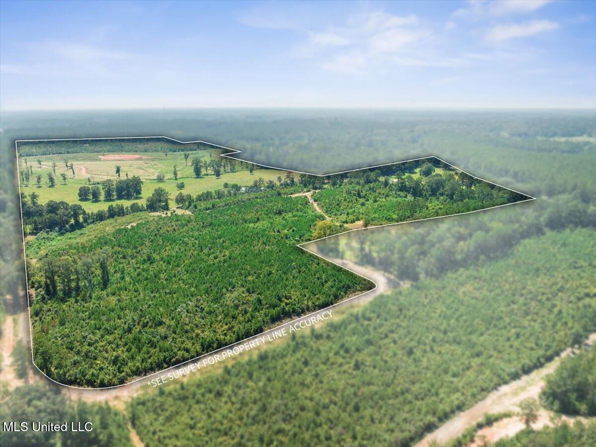 Gibson Rd And Fortenberry Circle Property Photo 7