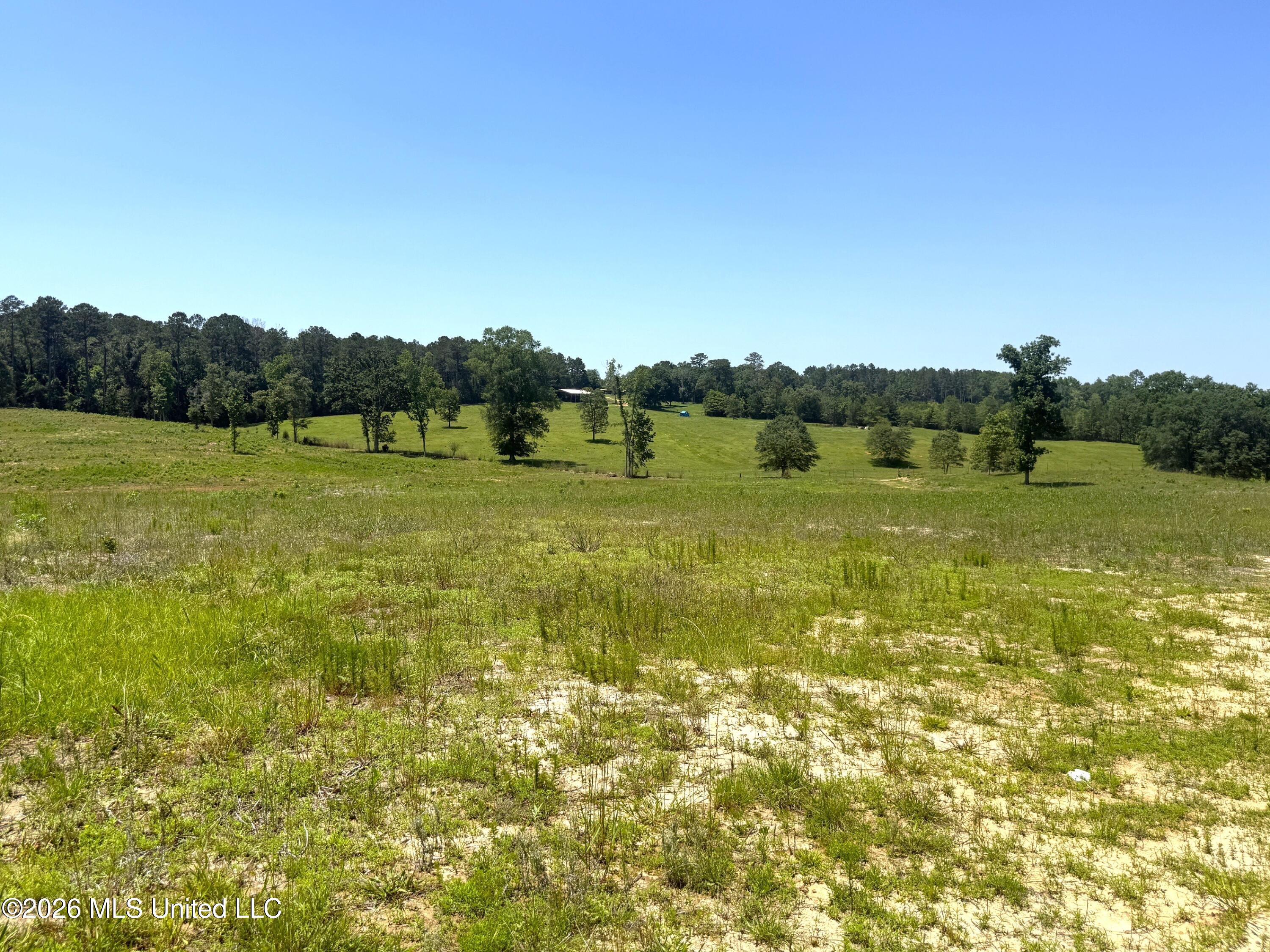 Gibson Rd And Fortenberry Circle Property Photo 7