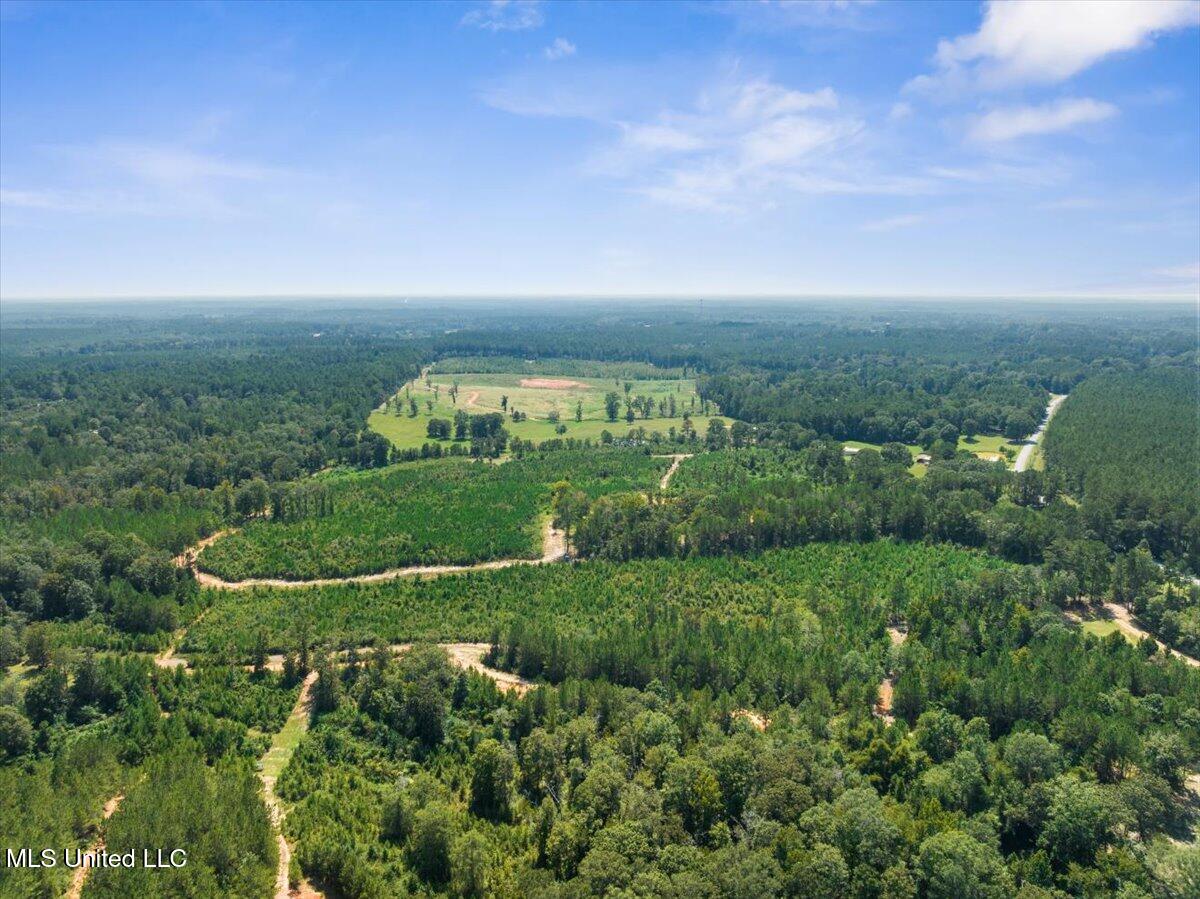 Gibson Rd And Fortenberry Circle Property Photo 12