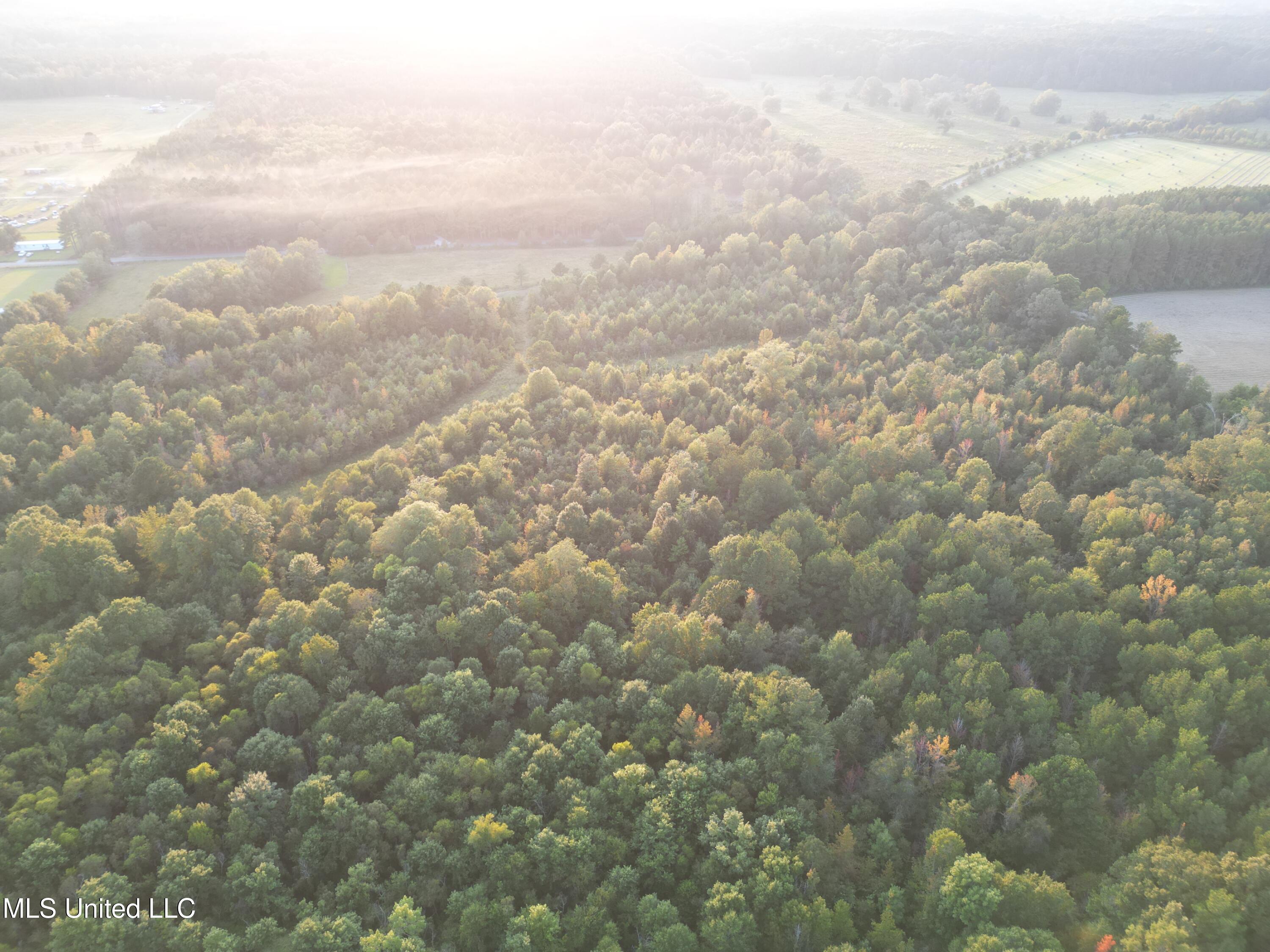 1844 Swamp Road Property Photo 2