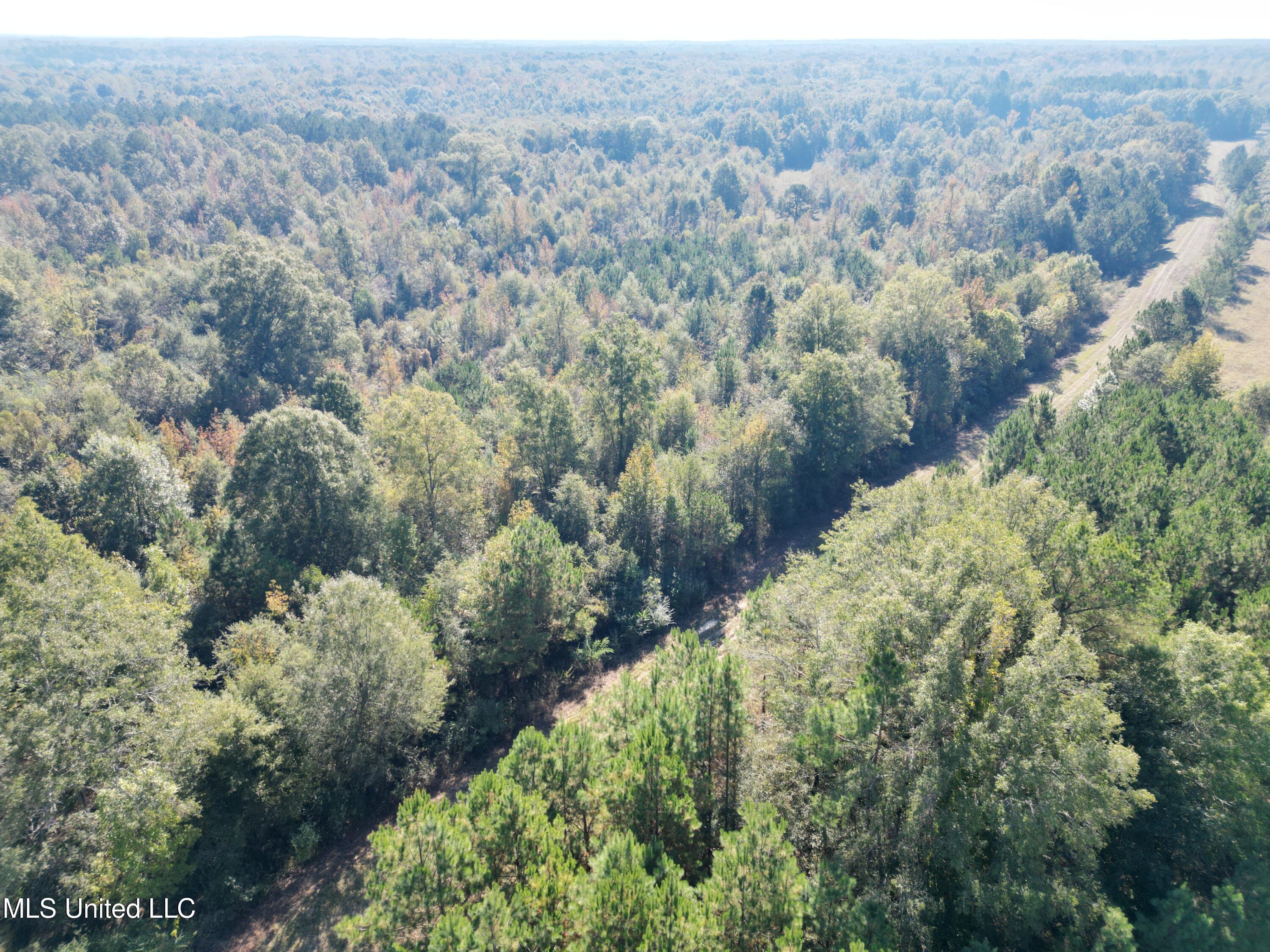 1844 Swamp Road Property Photo 9