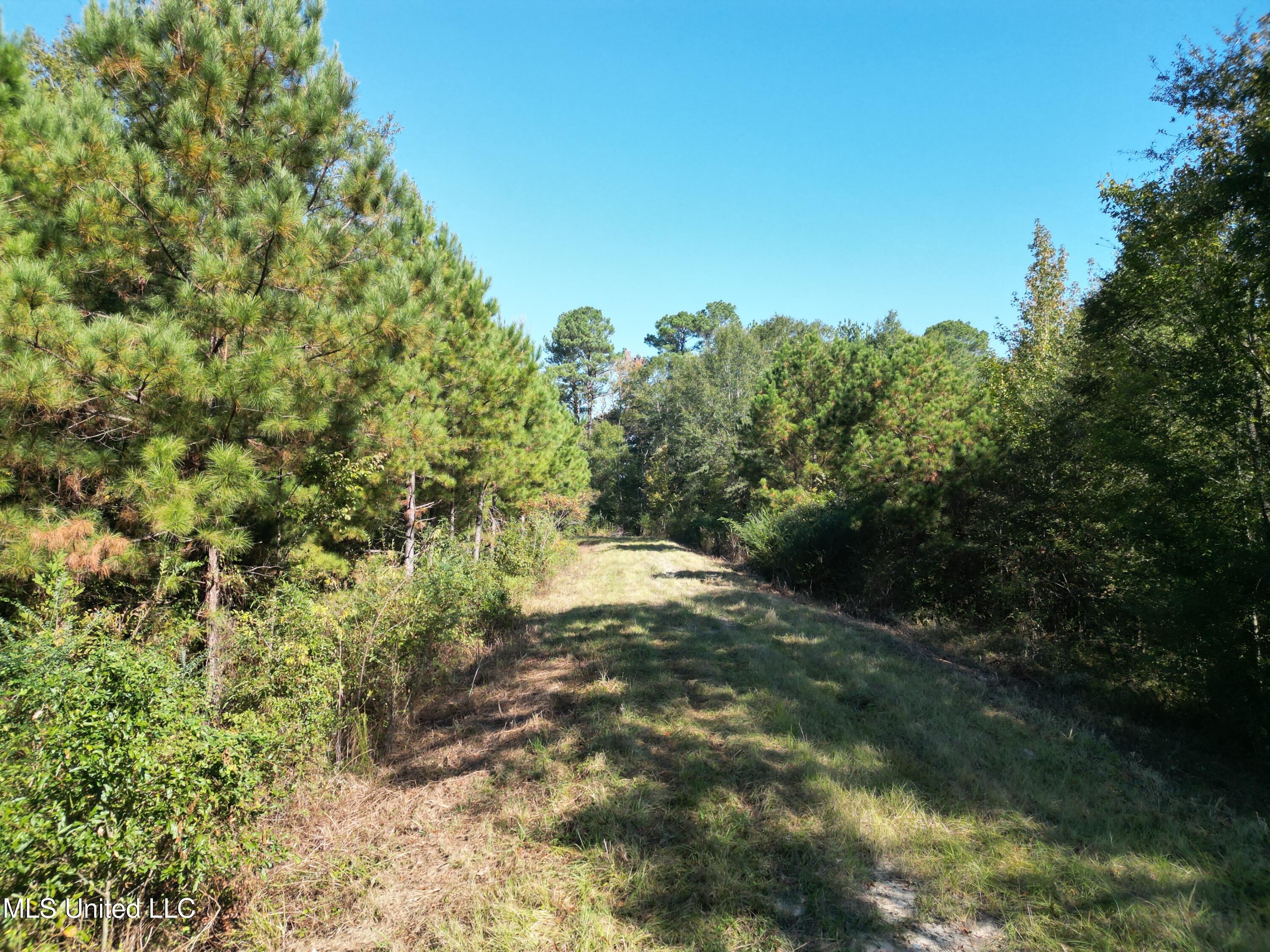 1844 Swamp Road Property Photo 10