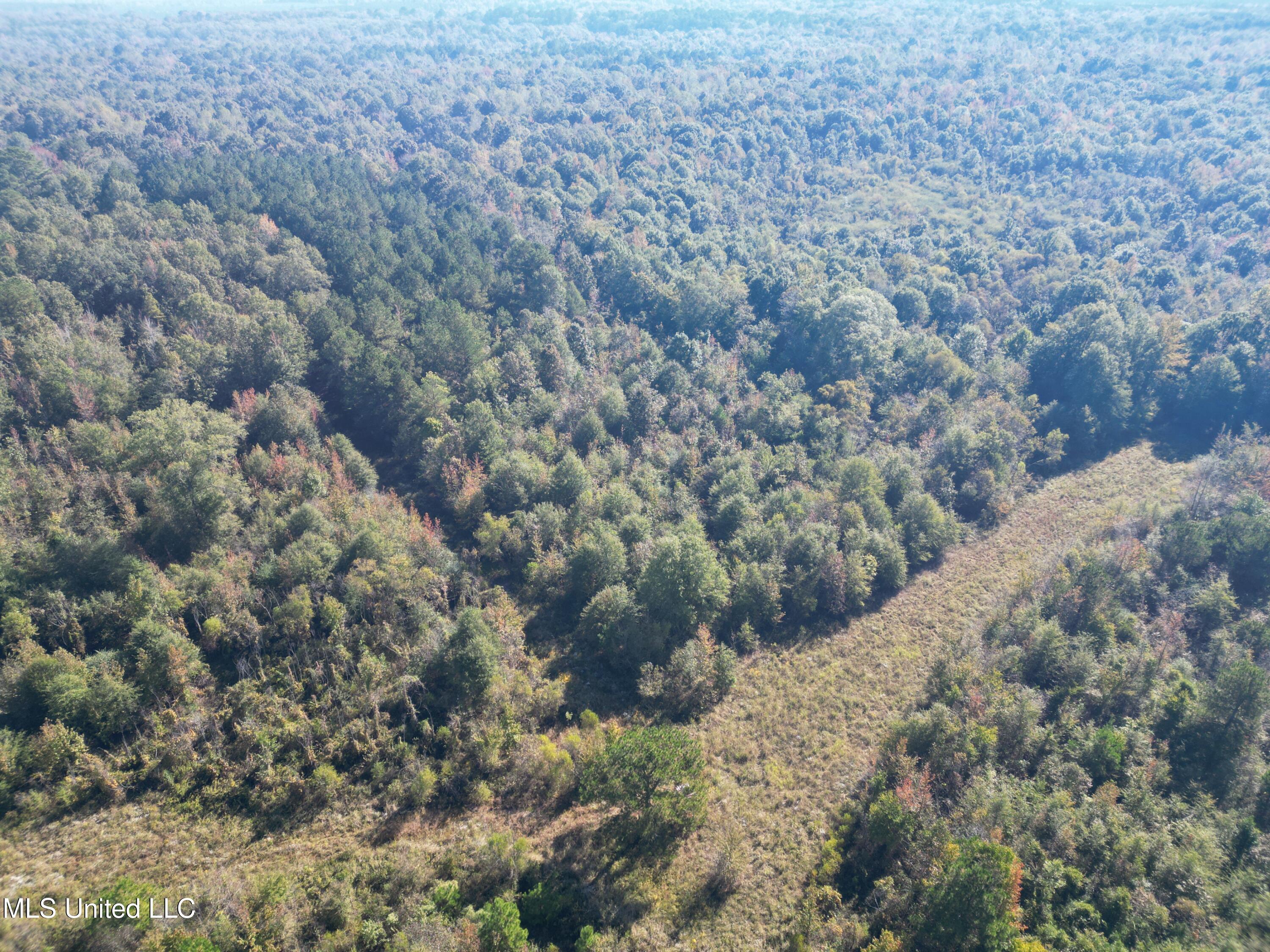 1844 Swamp Road Property Photo 16