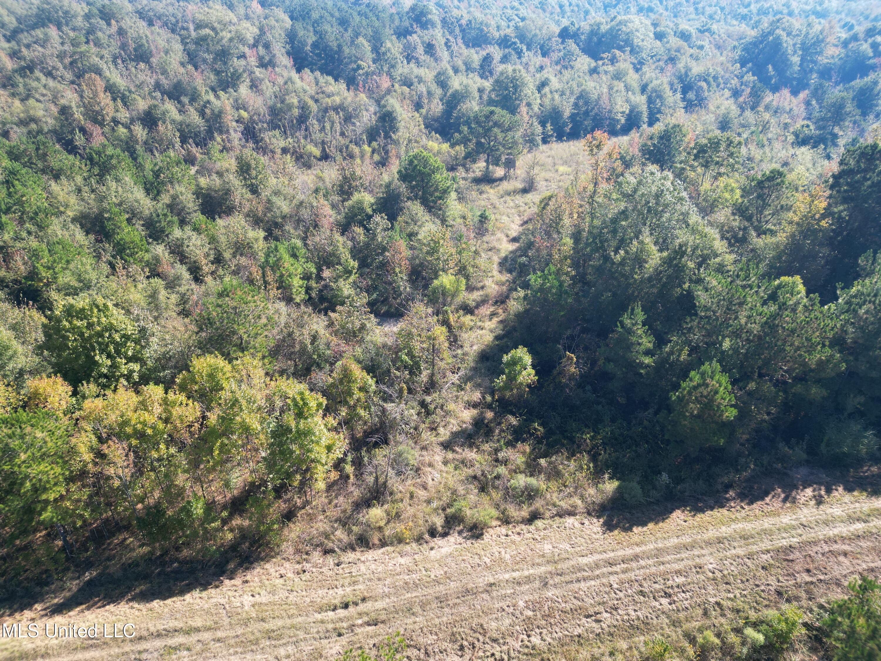 1844 Swamp Road Property Photo 17