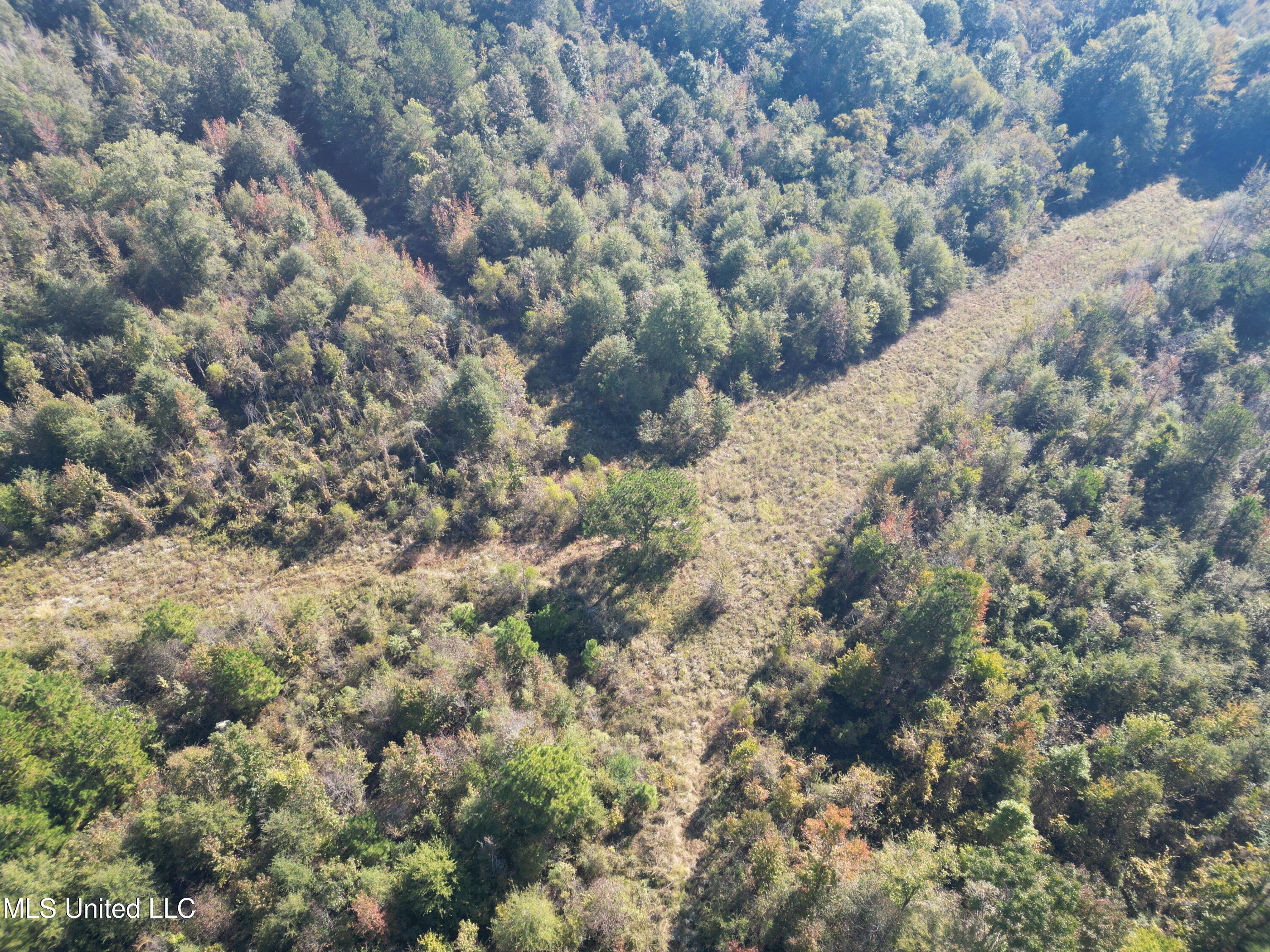 1844 Swamp Road Property Photo 19