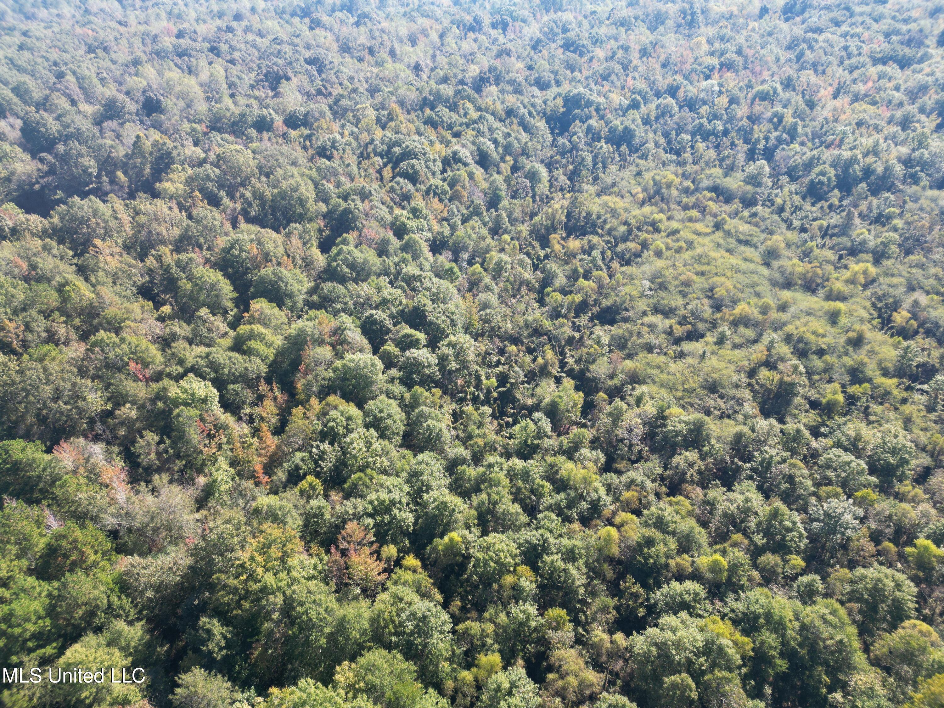 1844 Swamp Road Property Photo 20