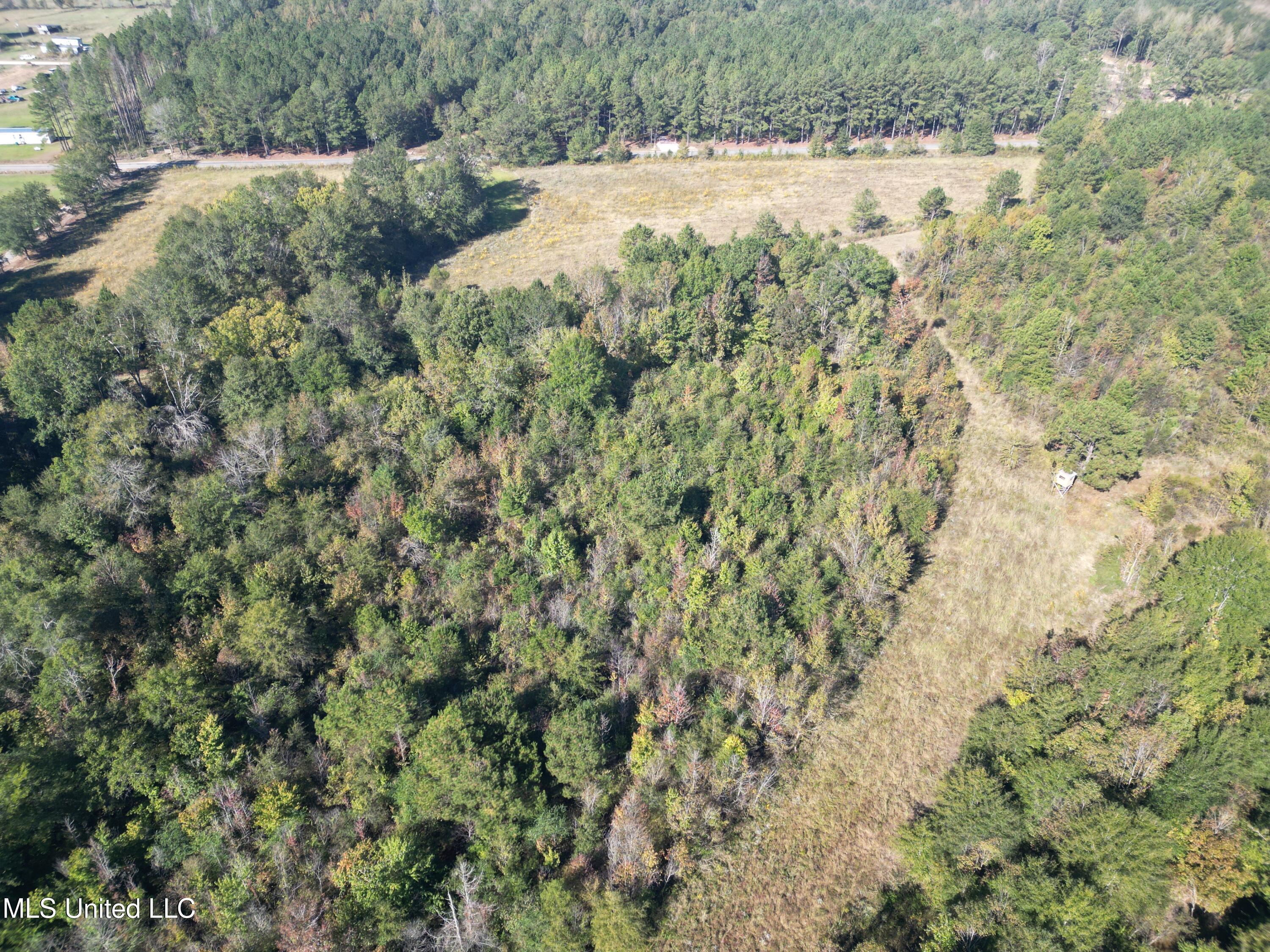 1844 Swamp Road Property Photo 21