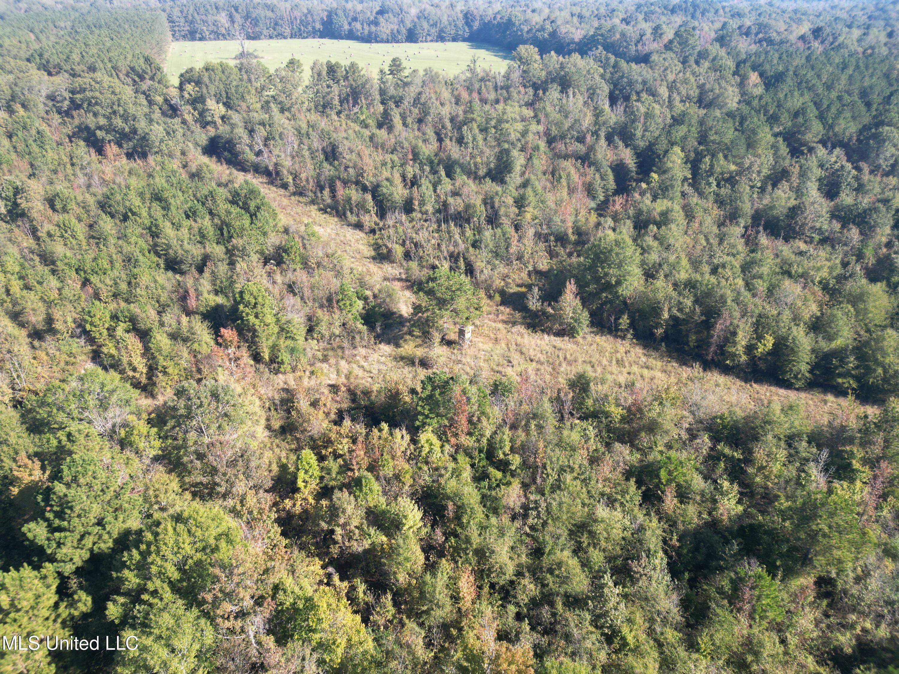 1844 Swamp Road Property Photo 22