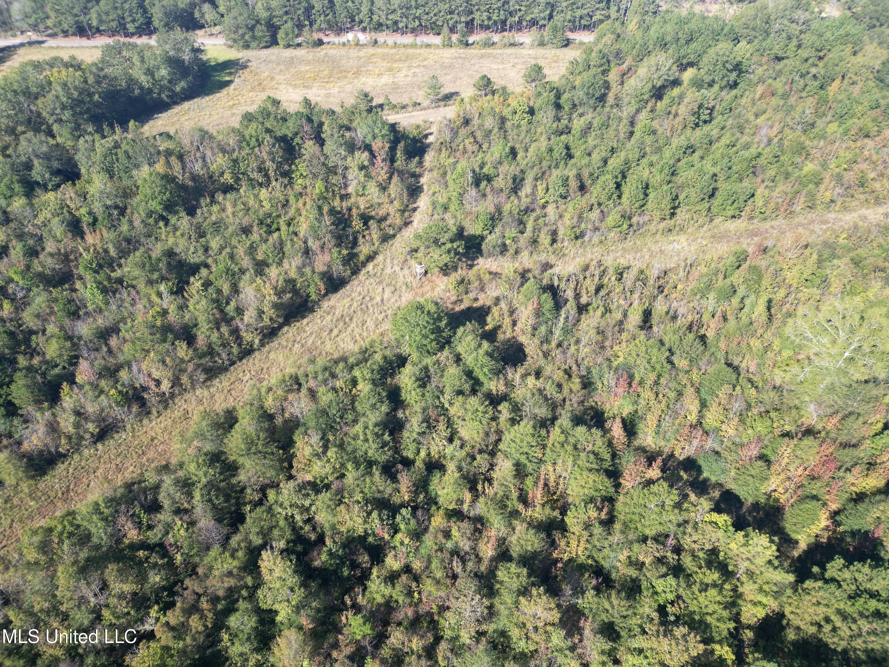 1844 Swamp Road Property Photo 23