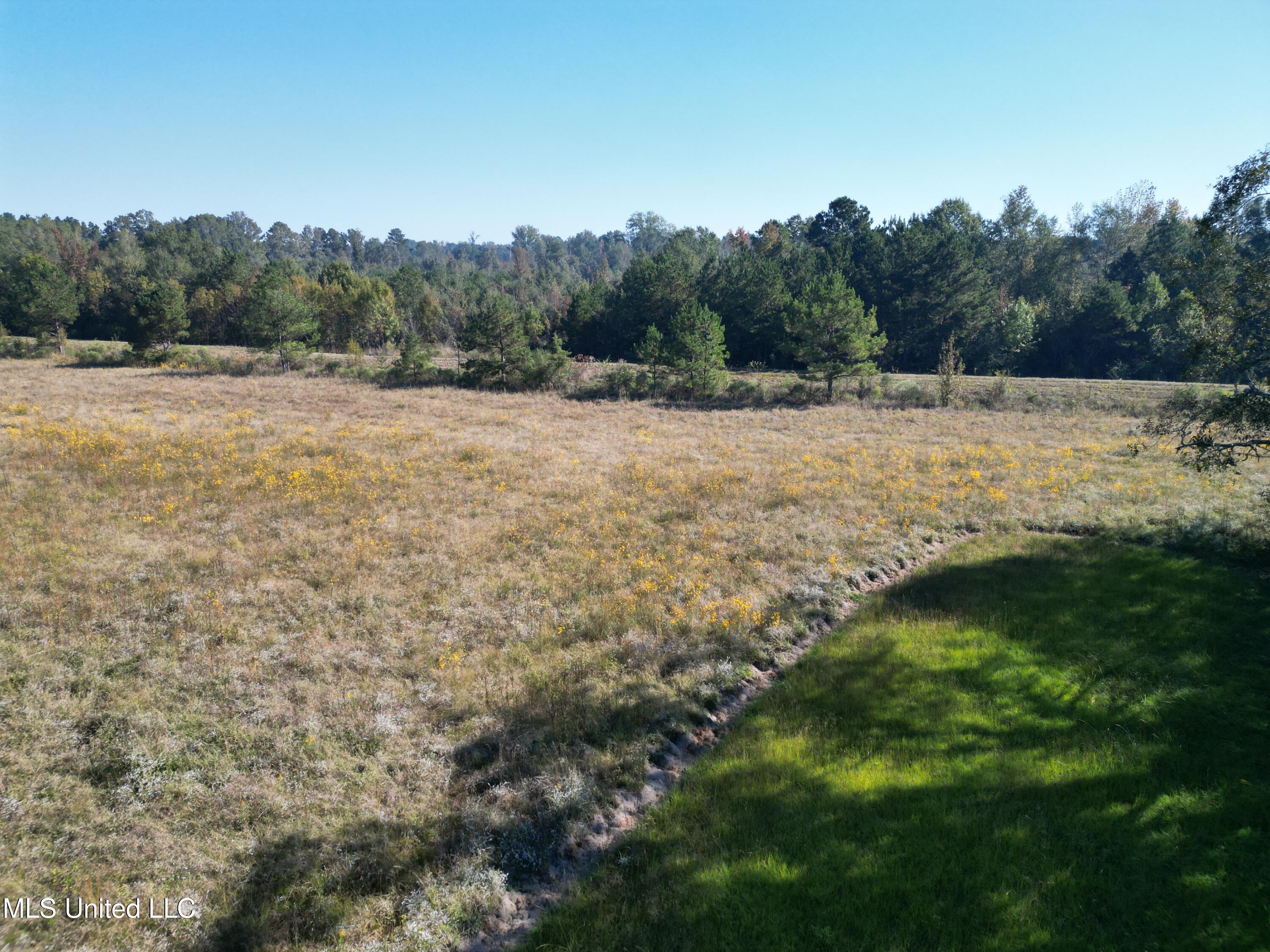 1844 Swamp Road Property Photo 24