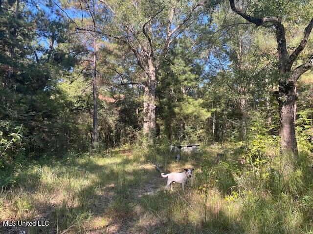 59170 Wifred Singley Road Road Property Photo 4