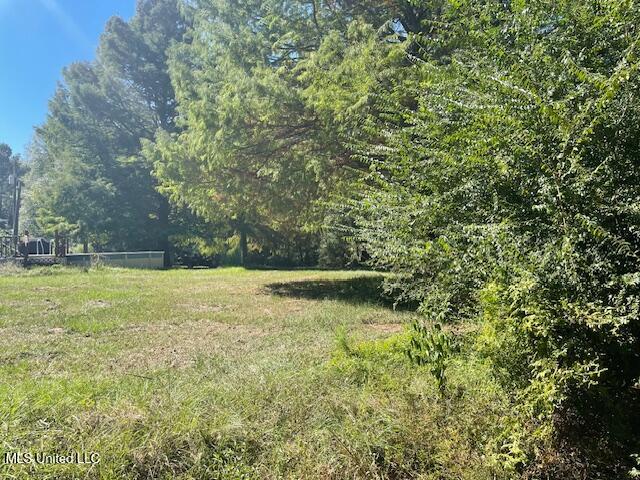 59170 Wifred Singley Road Road Property Photo 7