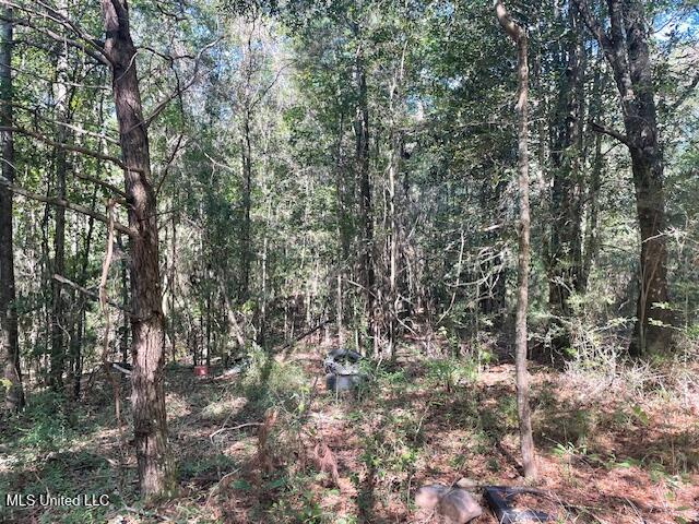 59170 Wifred Singley Road Road Property Photo 10