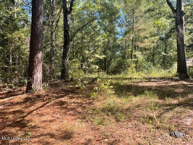 59170 Wifred Singley Road Road Property Photo 11