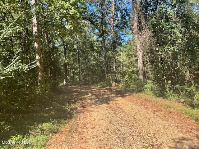 59170 Wifred Singley Road Road Property Photo 13