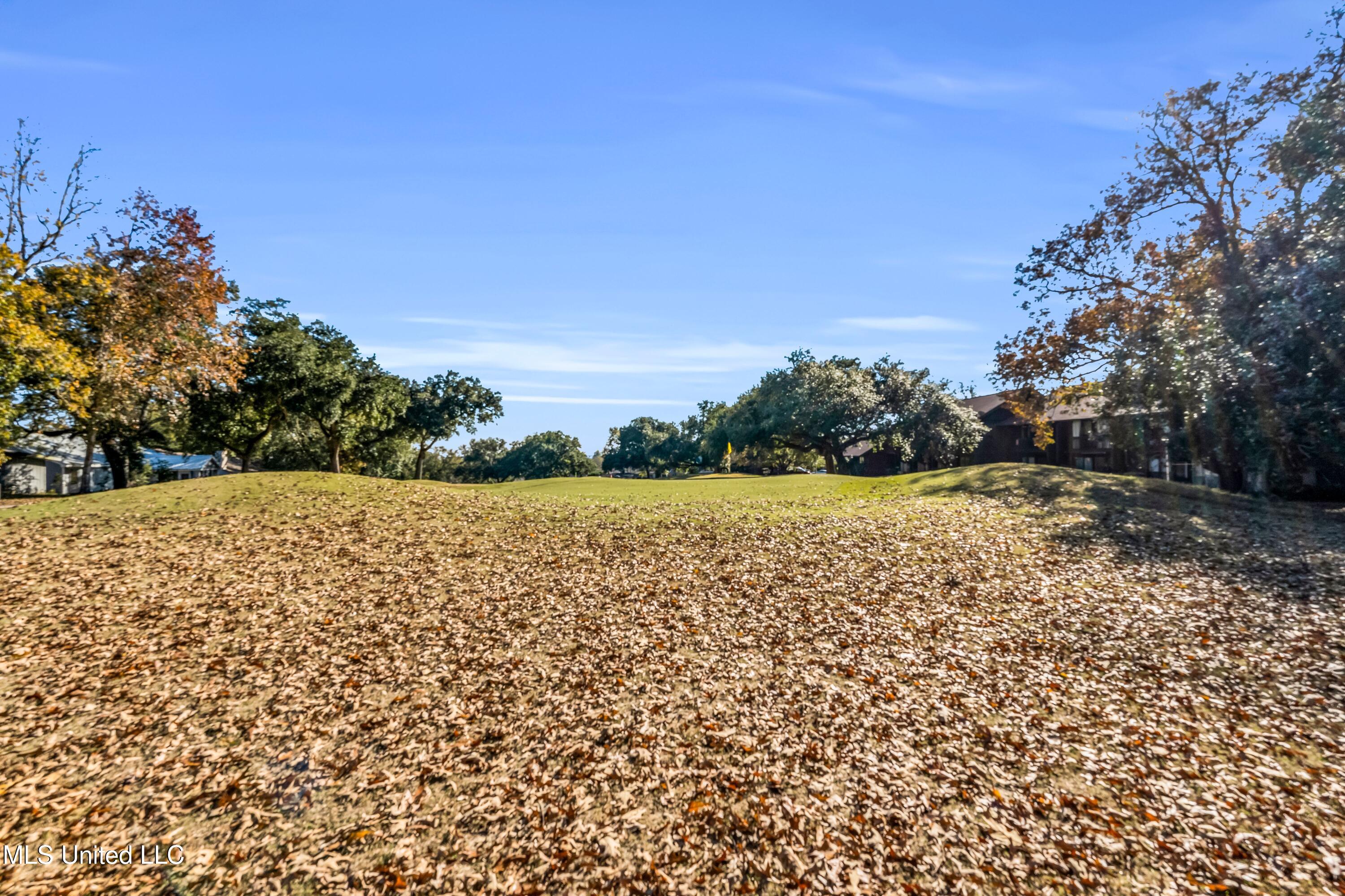 208 Kona Property Photo 21