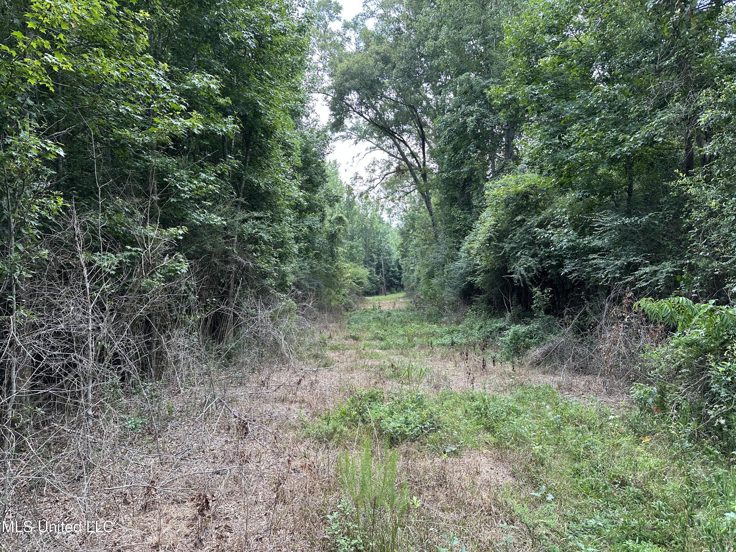 Stoval Ln Property Photo 3