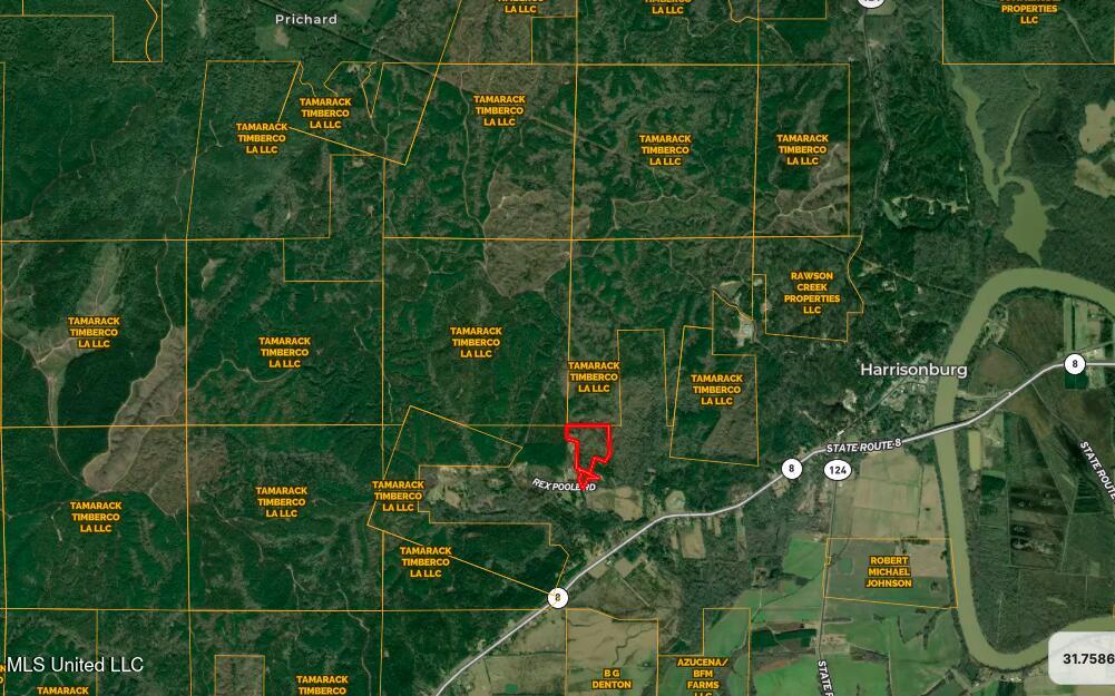 214 Cannady Road Property Photo 2