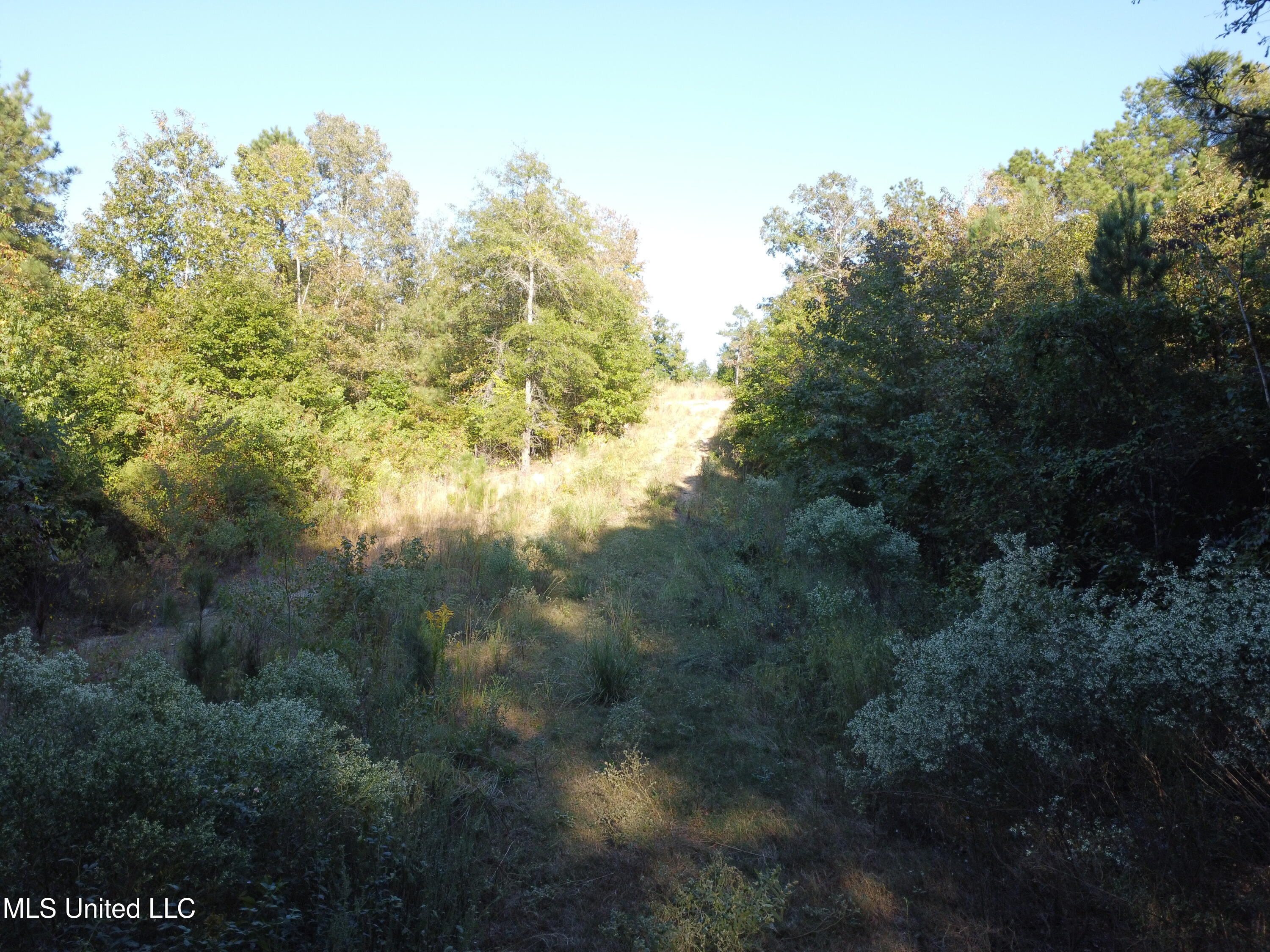 214 Cannady Road Property Photo 6