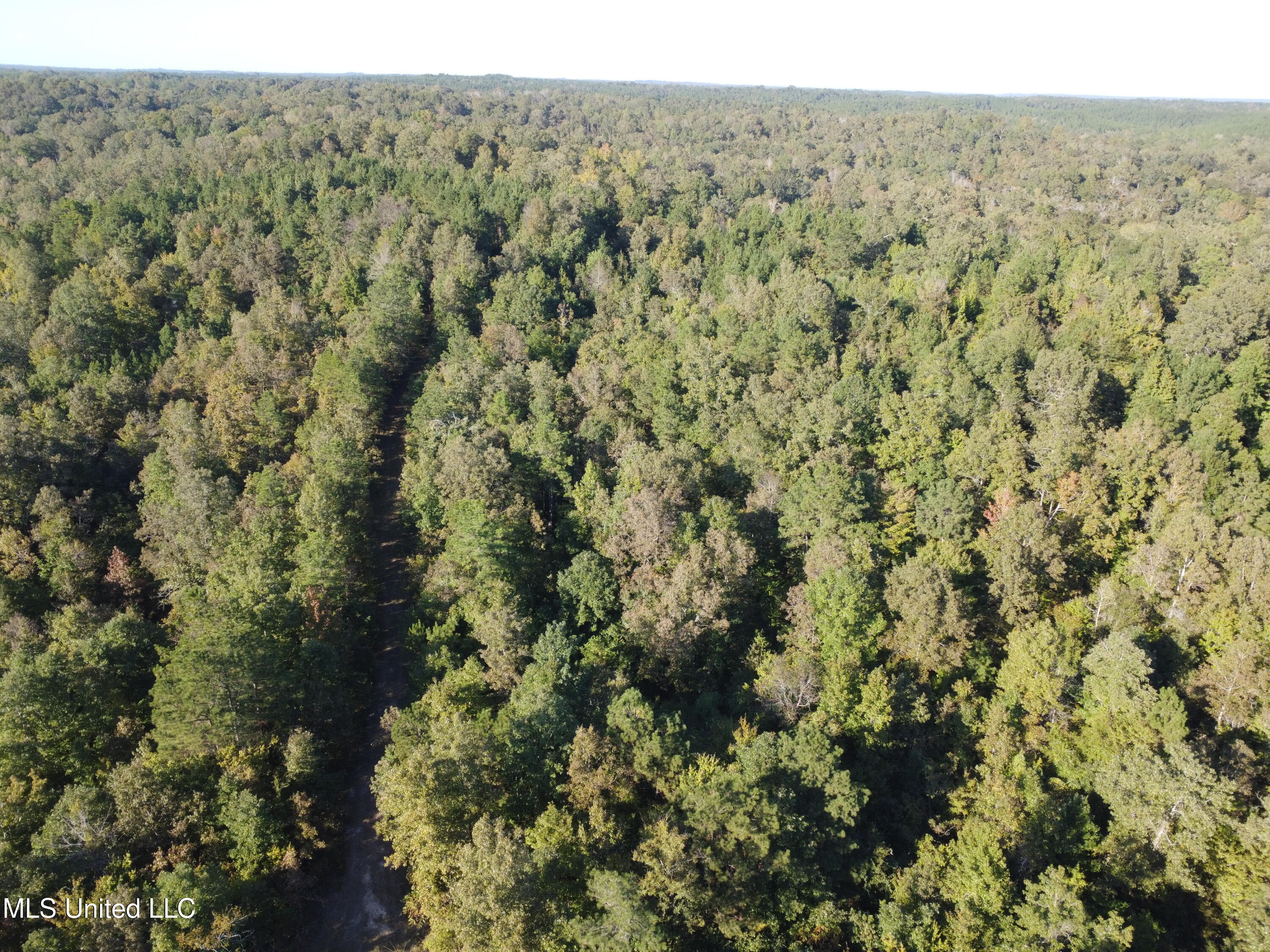 214 Cannady Road Property Photo 9